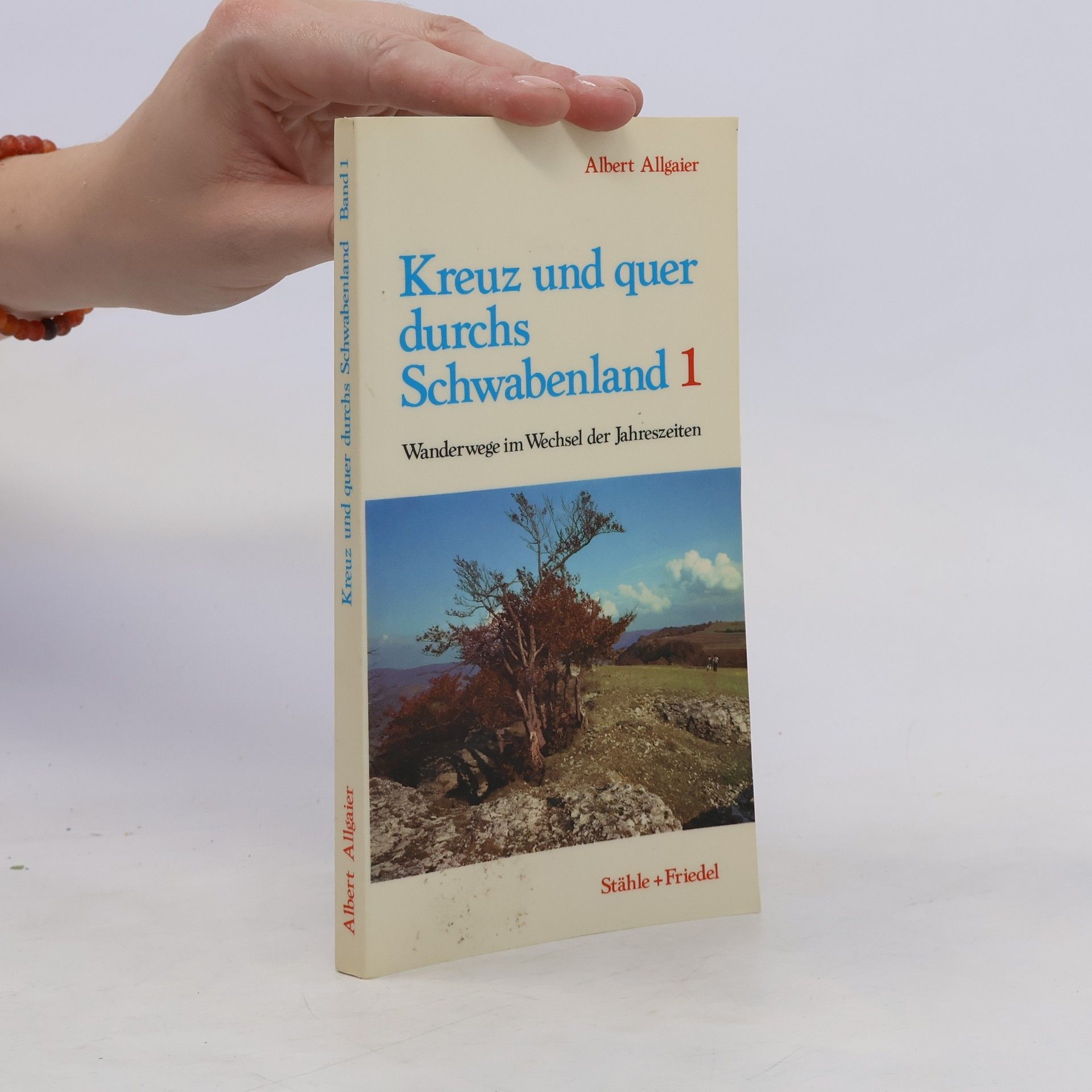 Albert Allgaier Kreuz und quer durchs Schwabenland 1