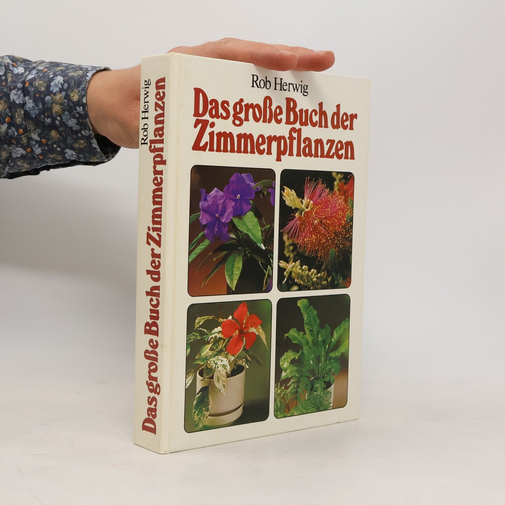 Rob Hewig Das grosse Buch der Zimmerpflanzen