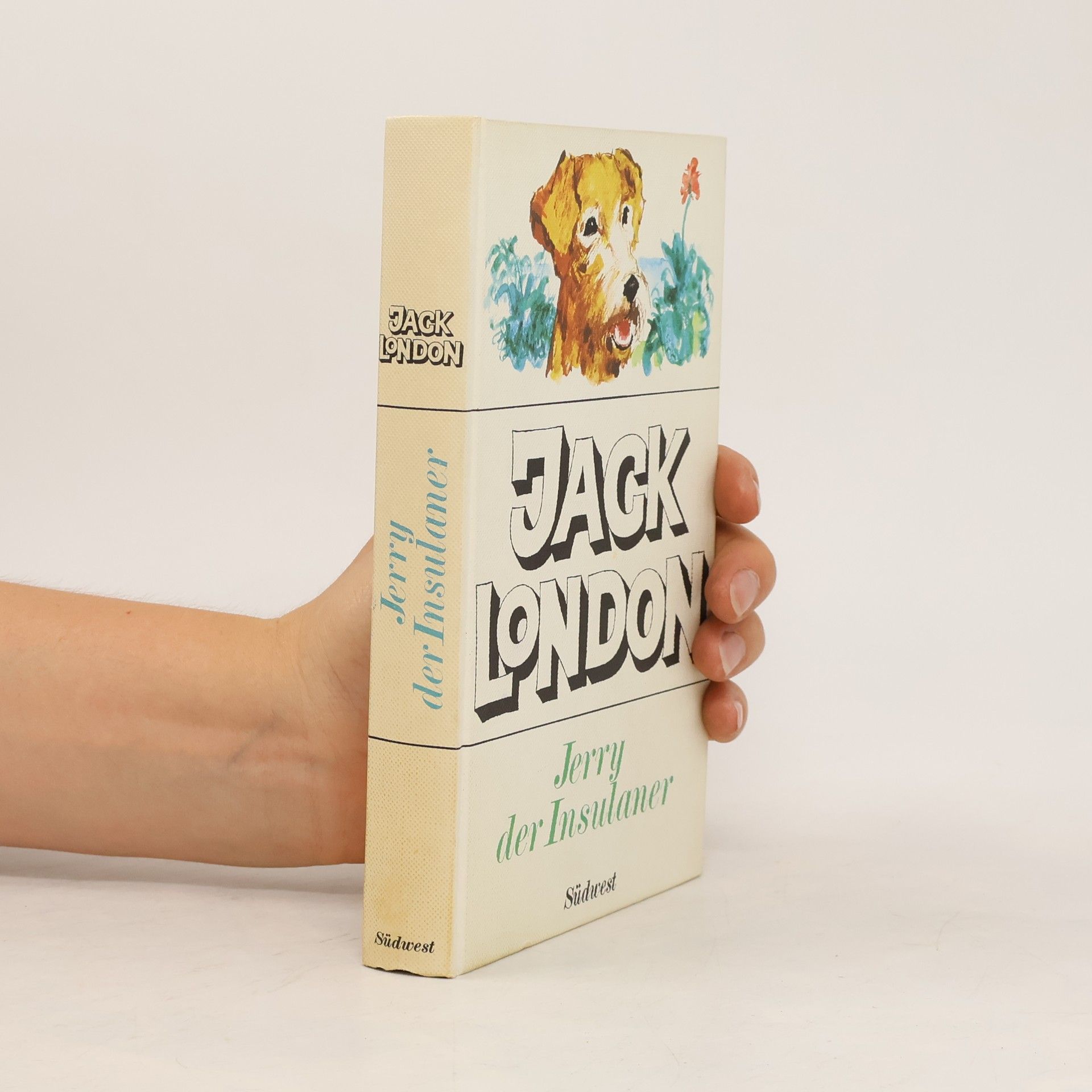 Jack London Jerry, der Insulaner