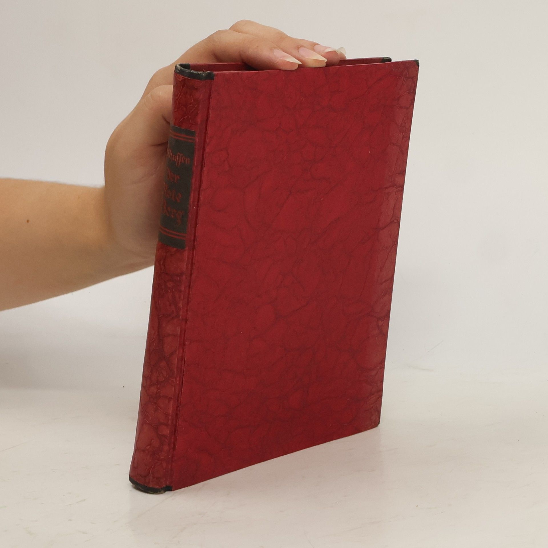 Wilhelm Schussen Der Rote Berg