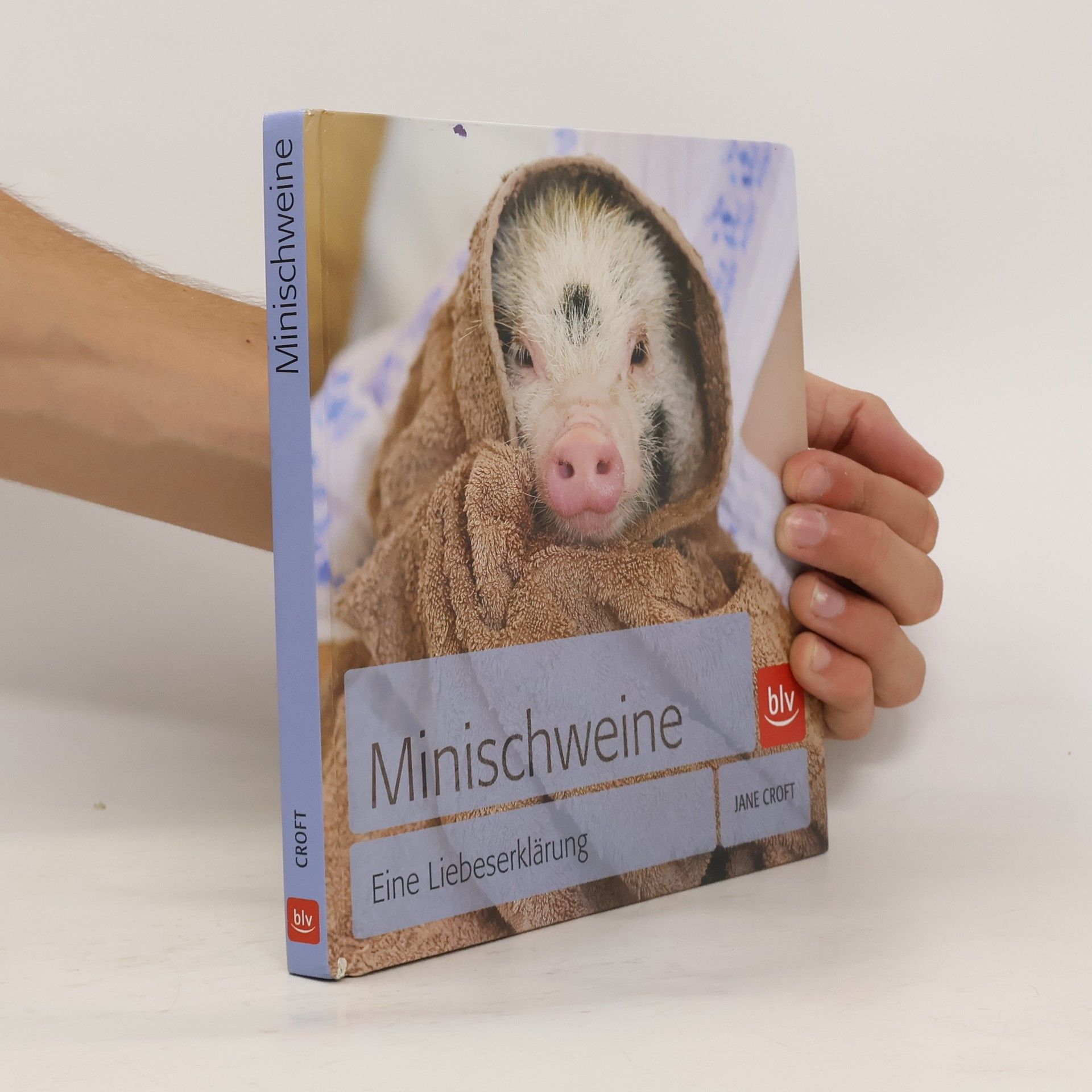 Jane Croft Minischweine