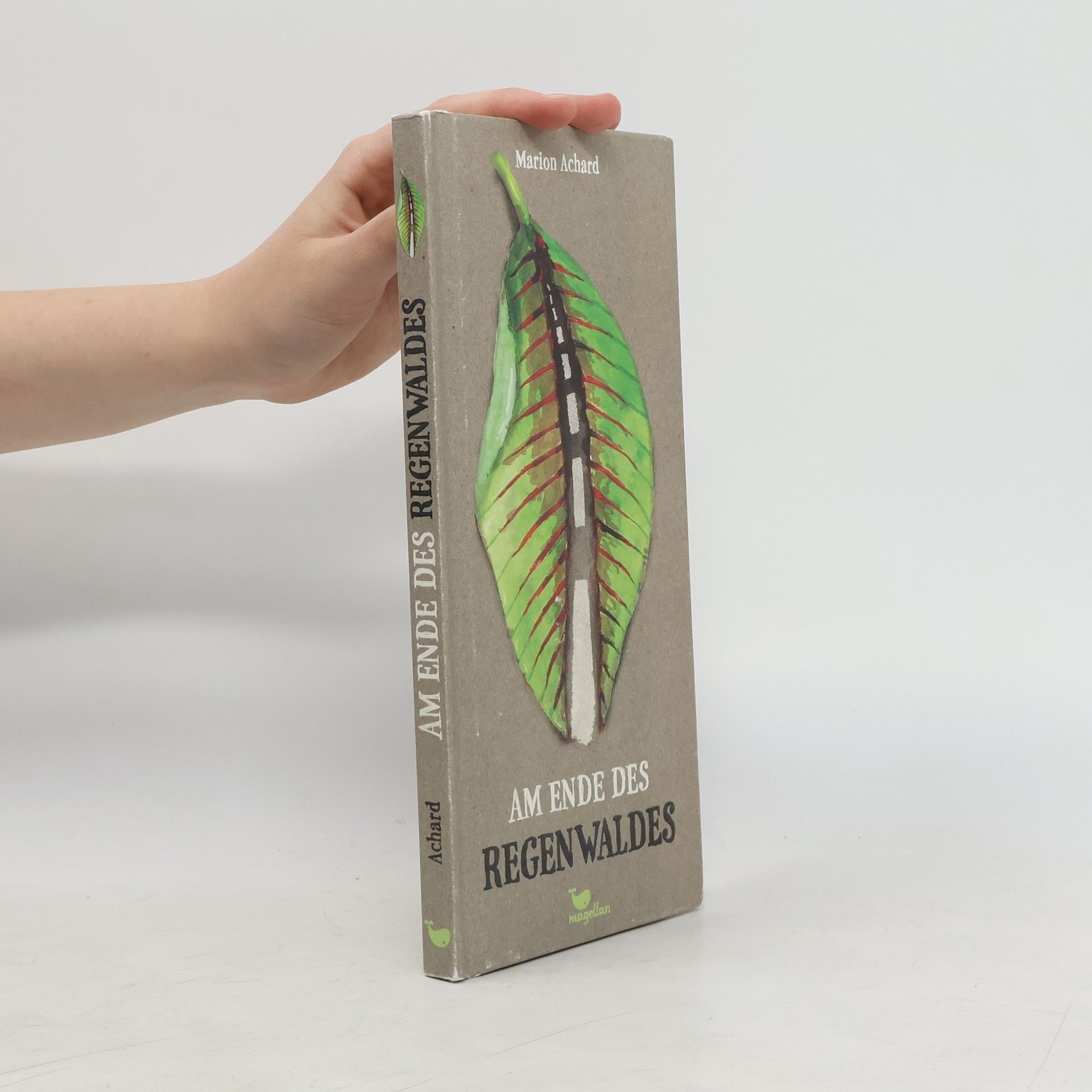Marion Achard Am Ende des Regenwaldes