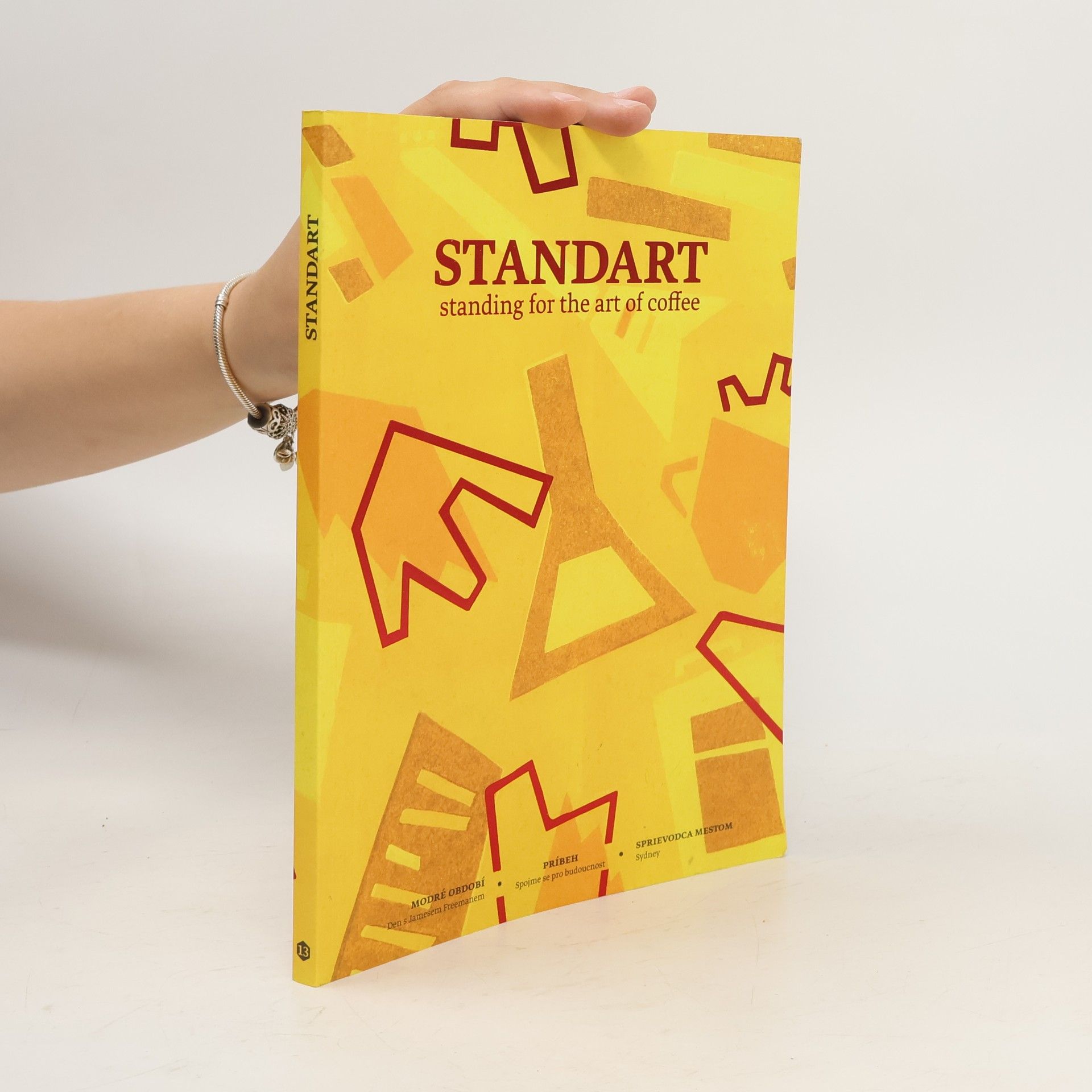 Michal Molčan Standart - ročník 3, číslo 13