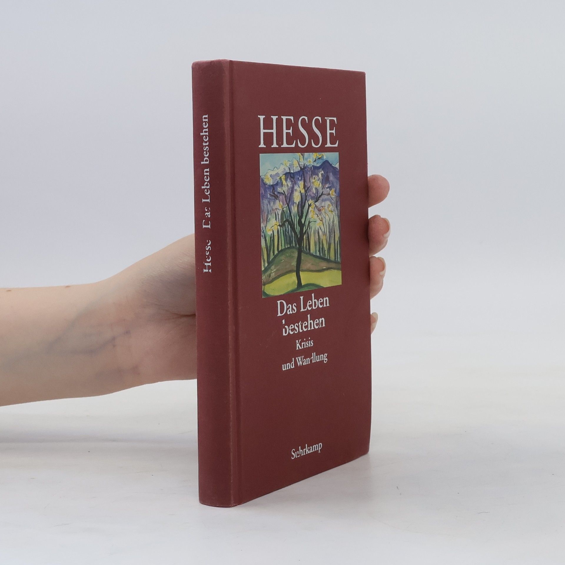 Hermann Hesse Die Hölle ist überwindbar