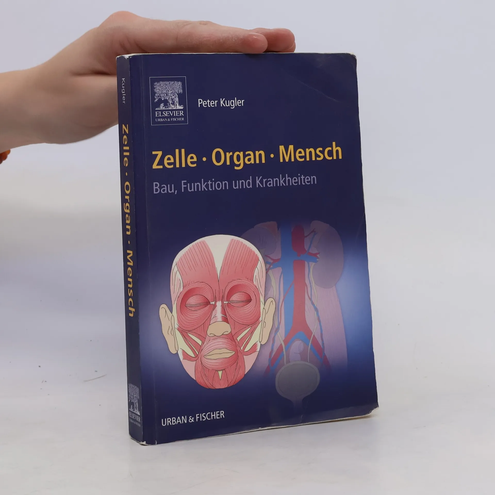 Zelle, Organ, Mensch | Buch | Peter Kugler