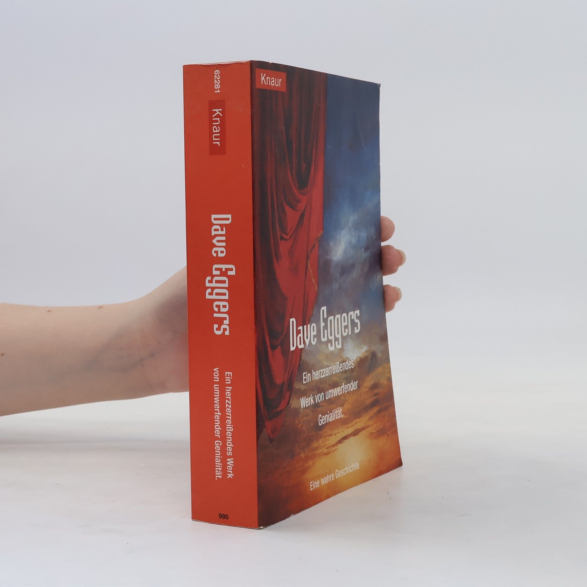 Dave Eggers Ein herzzerreissendes Werk von umwerfender Genialität