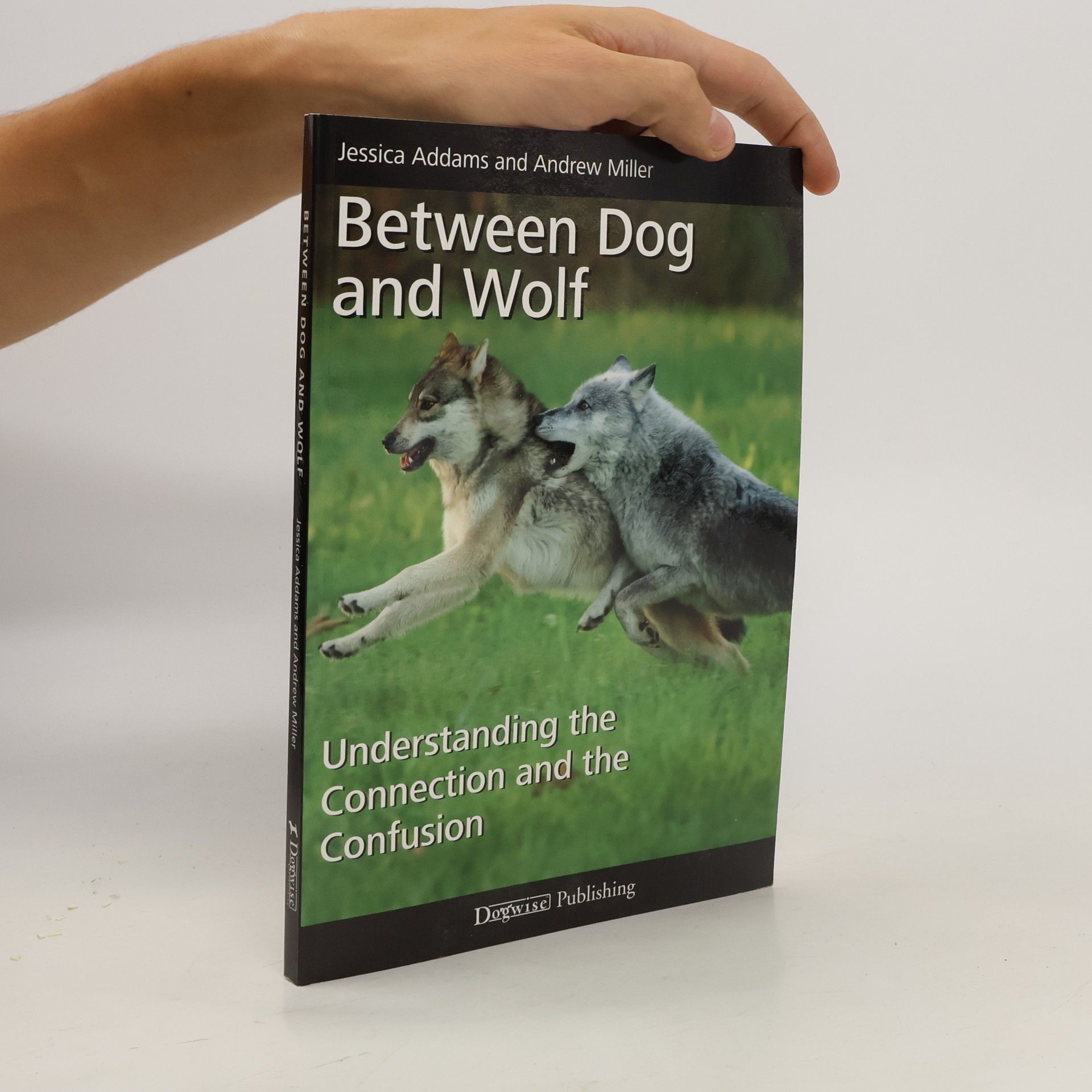 Jessica Addams Between Dog and Wolf