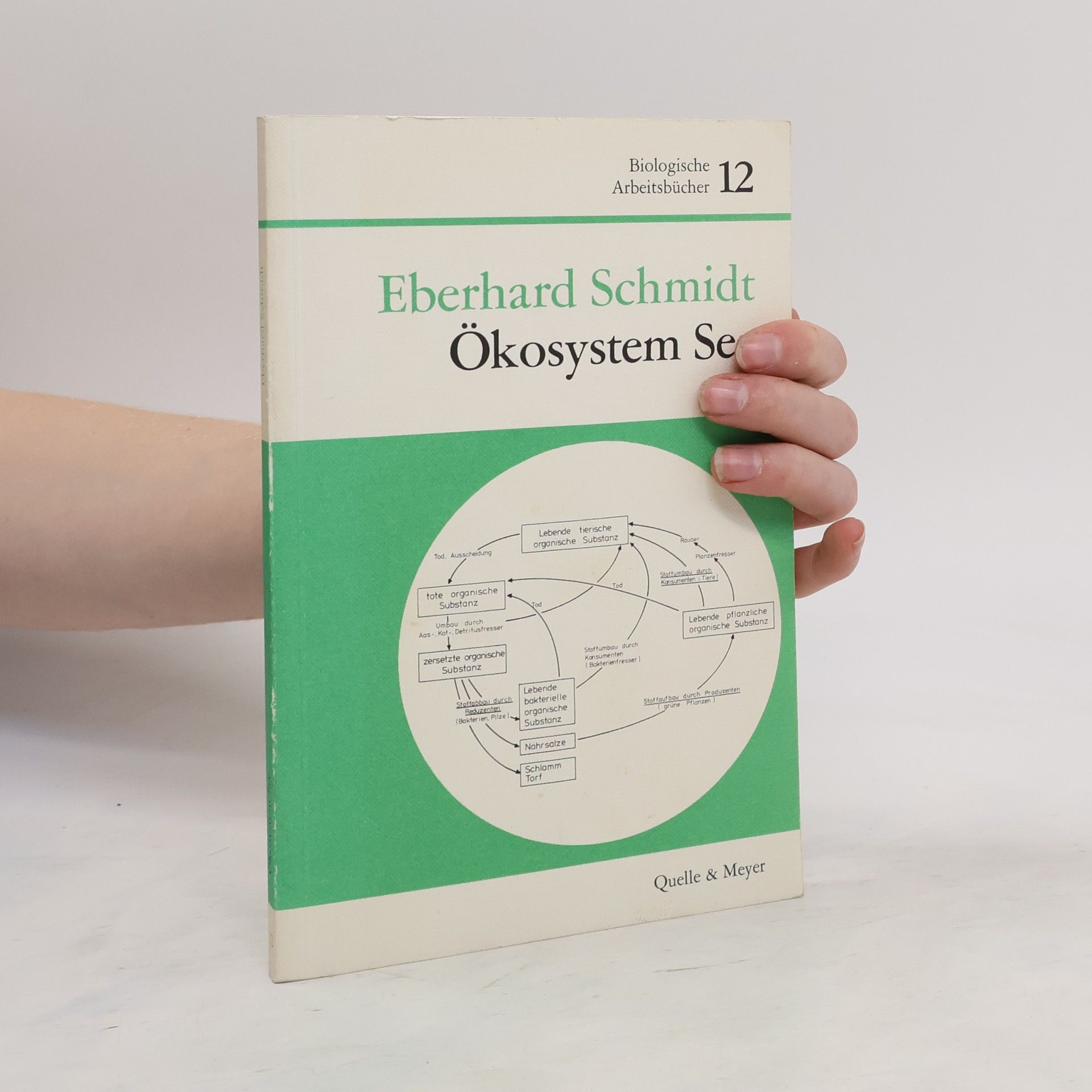 Eberhard Schmidt-Sommerfeld Ökosystem See