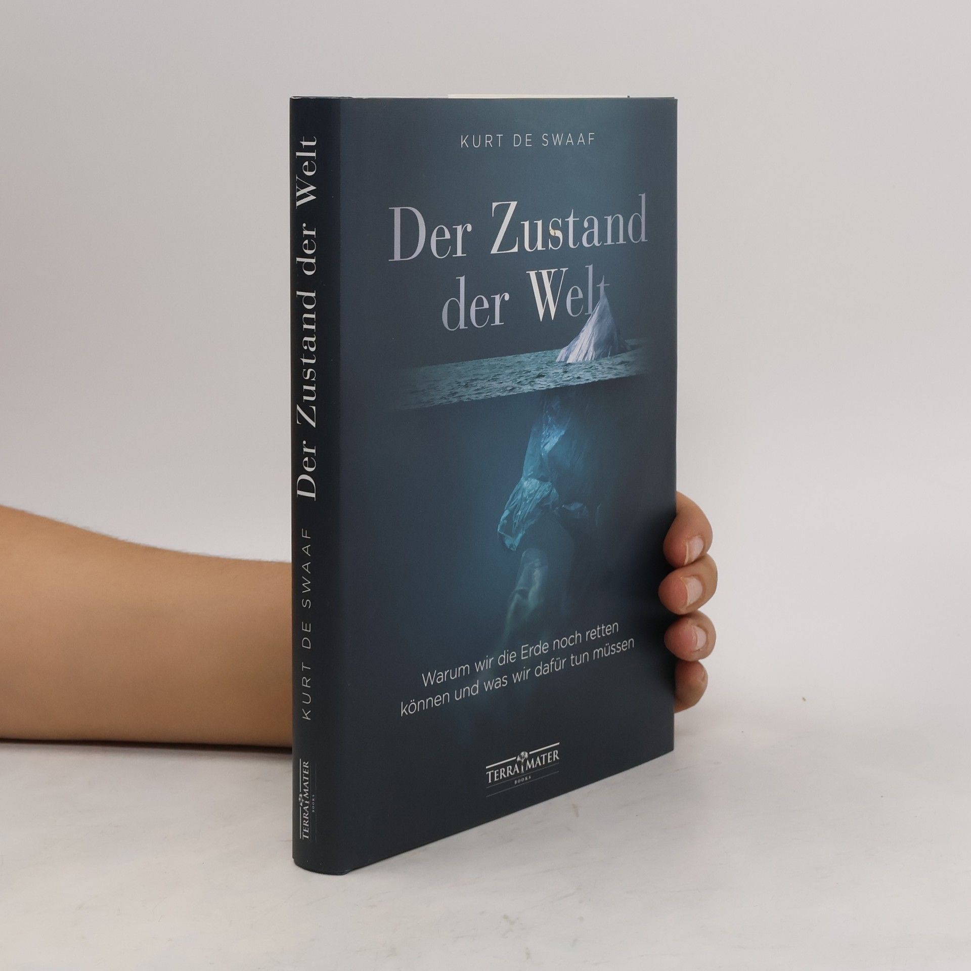 Kurt de Swaaf Der Zustand der Welt