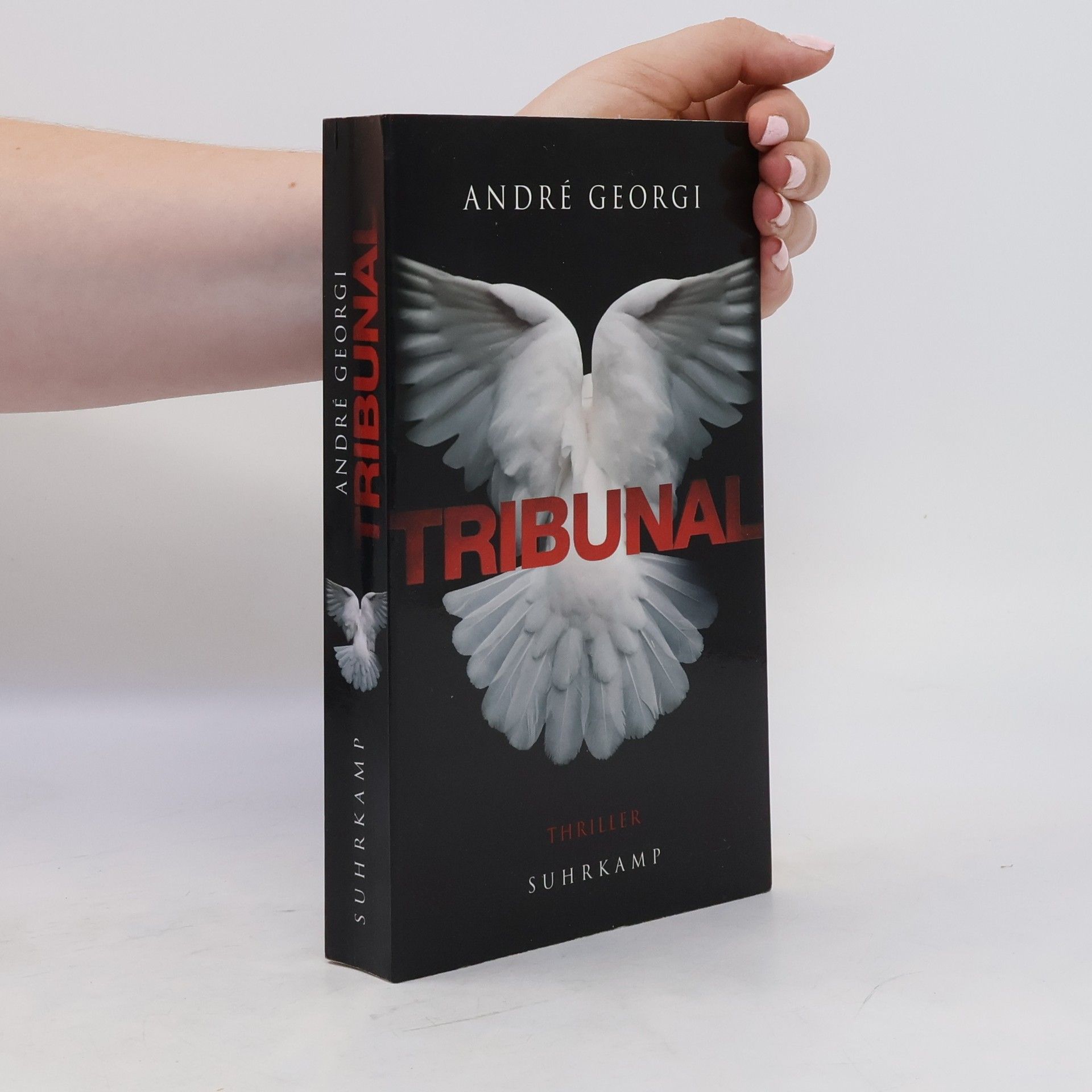 Andre Georgi Tribunal