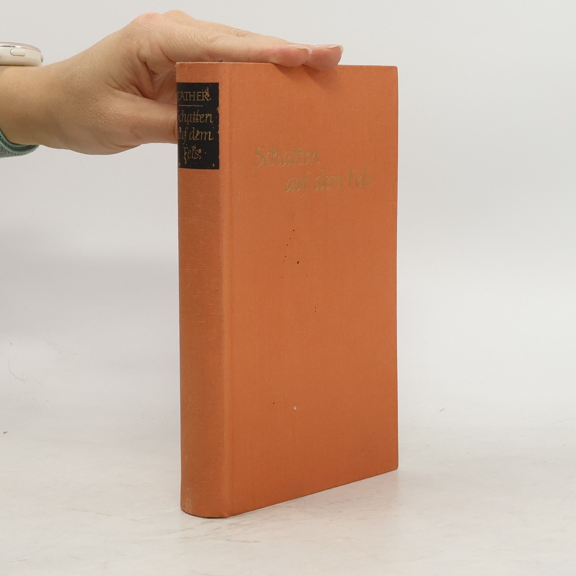 Willa Cather Schatten auf dem Fels