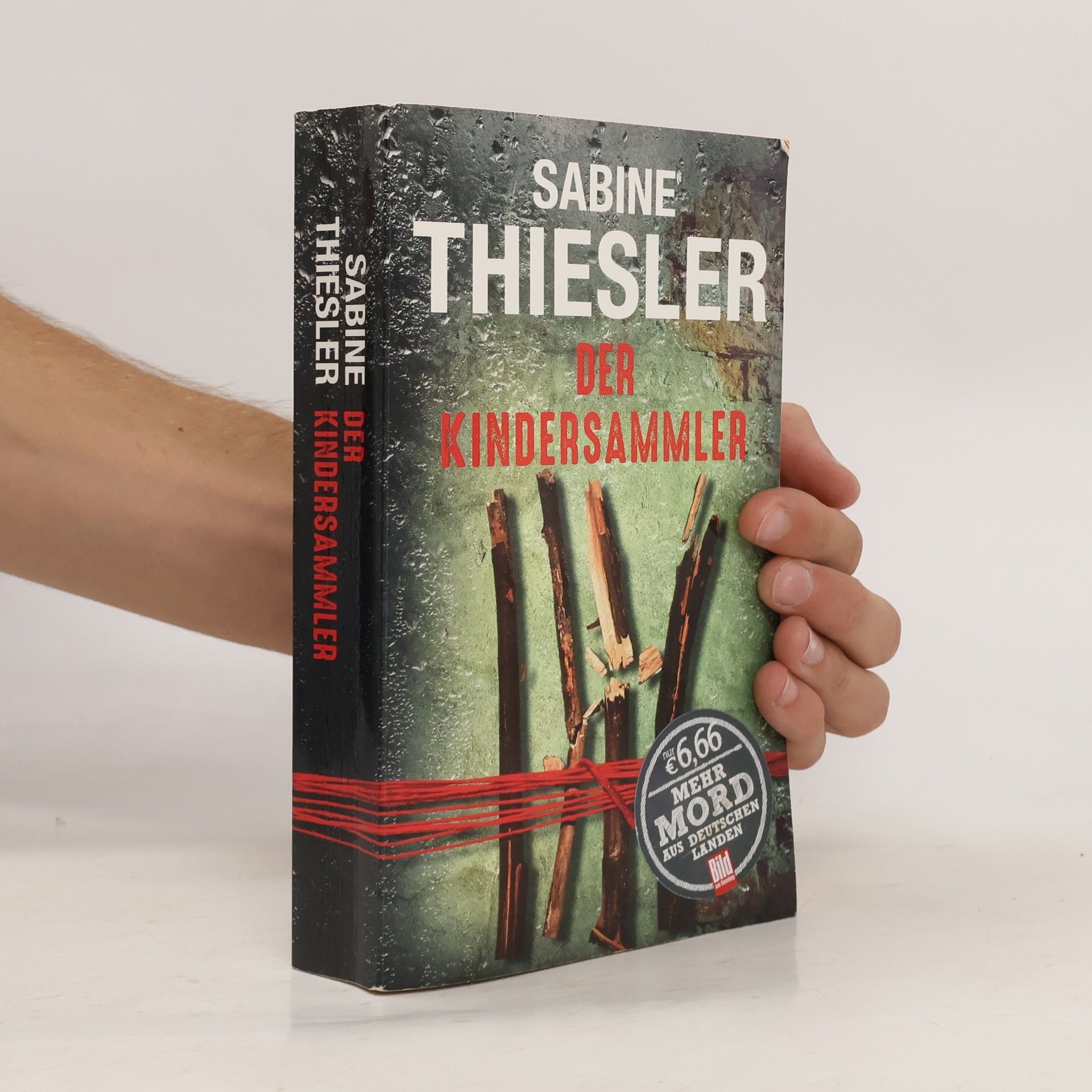 Sabine Thiesler Der Kindersammler