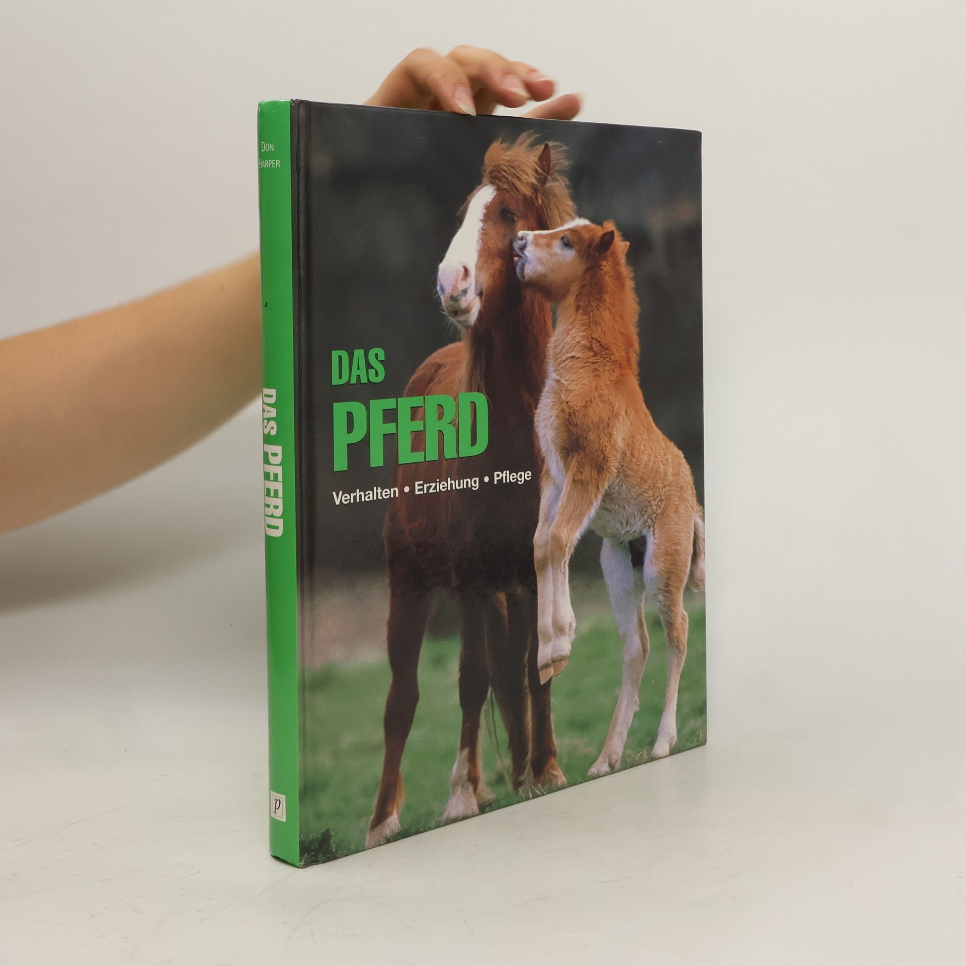 Collective Das Pferd