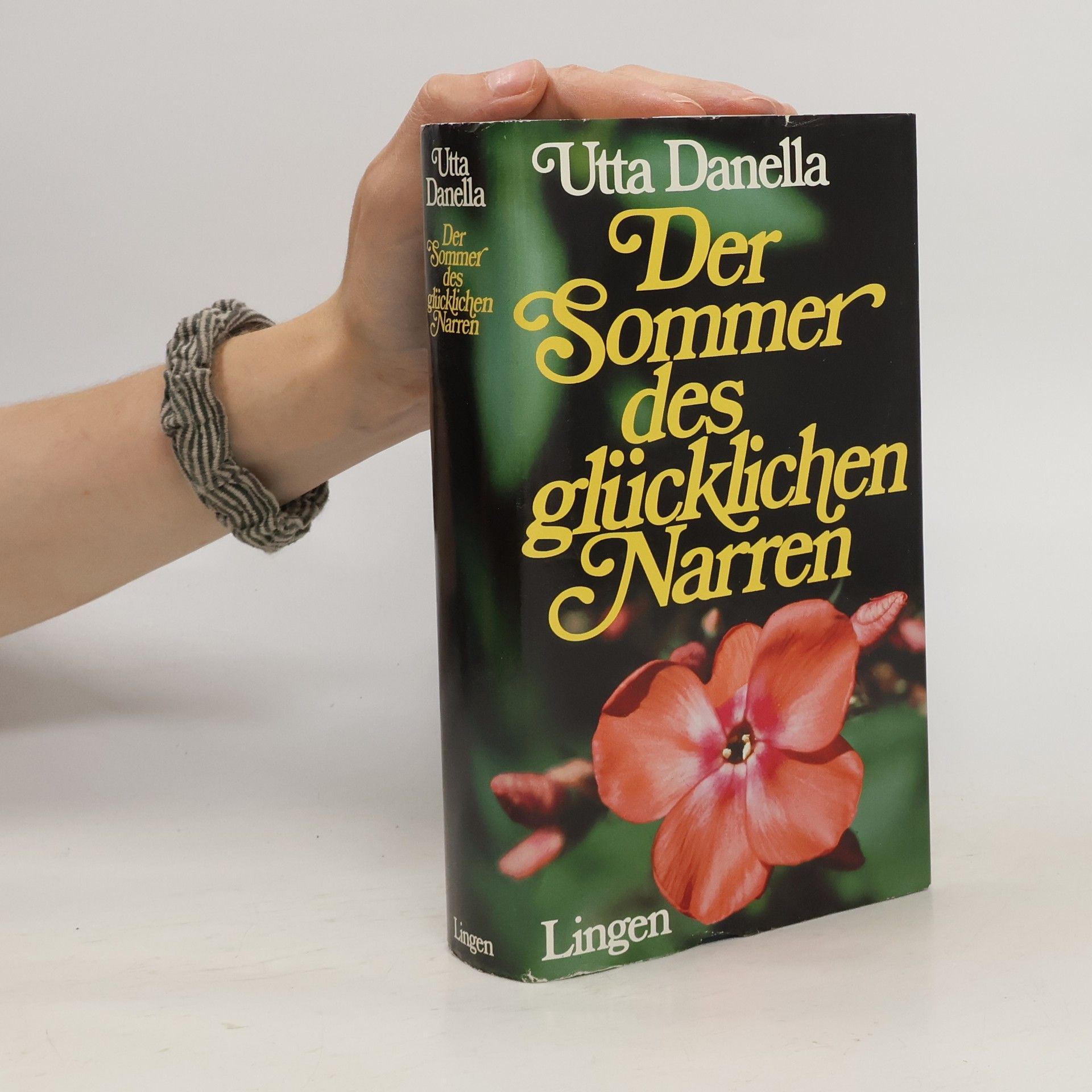 Stephan Dohl Der Sommer des glücklichen Narren