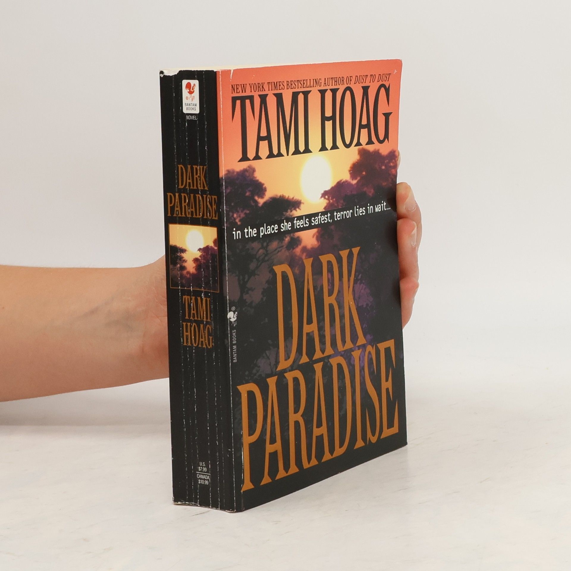 Tami Hoag Dark Paradise