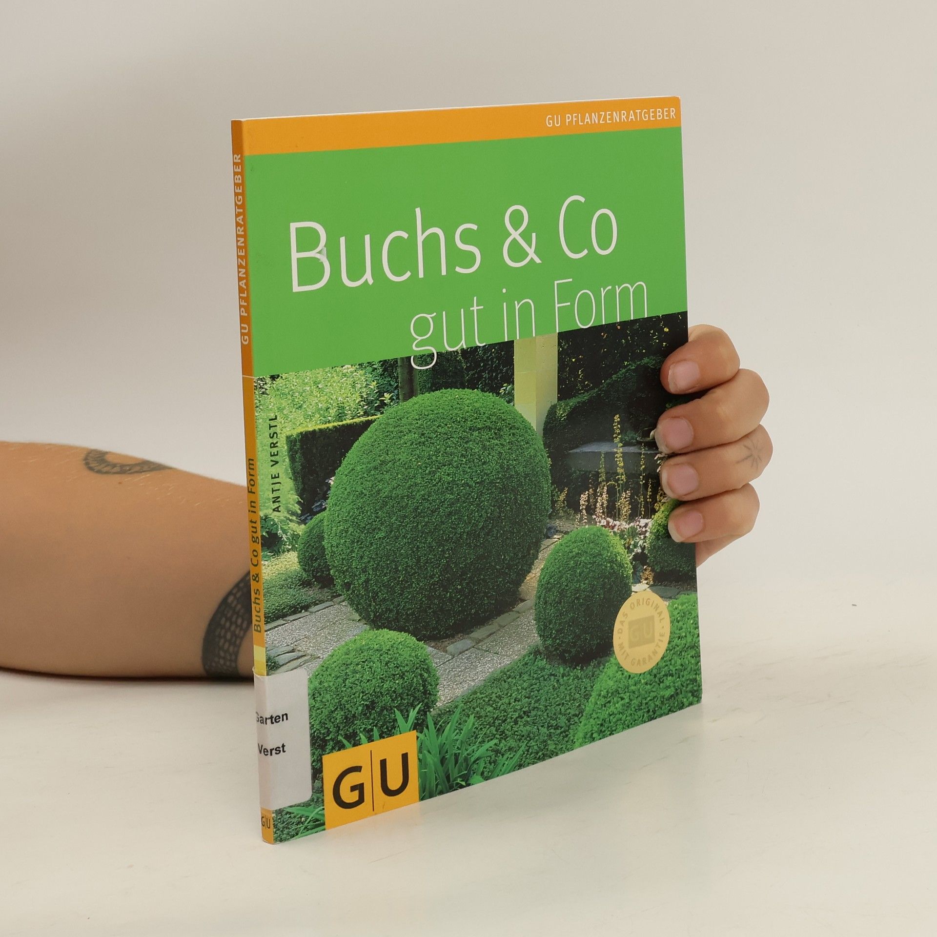 Antje Verstl Buchs & Co gut in Form