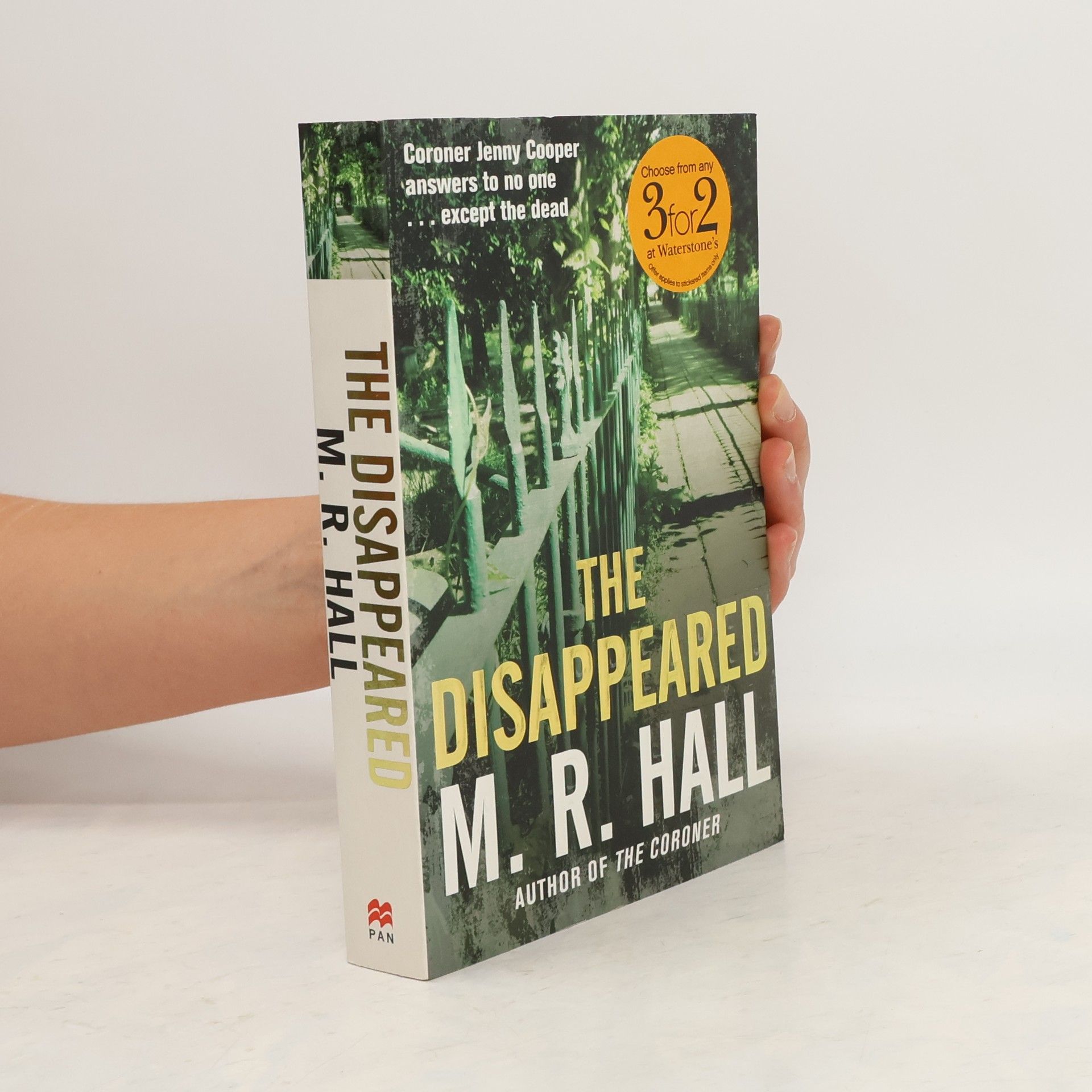 Mari Hall The Disappeared