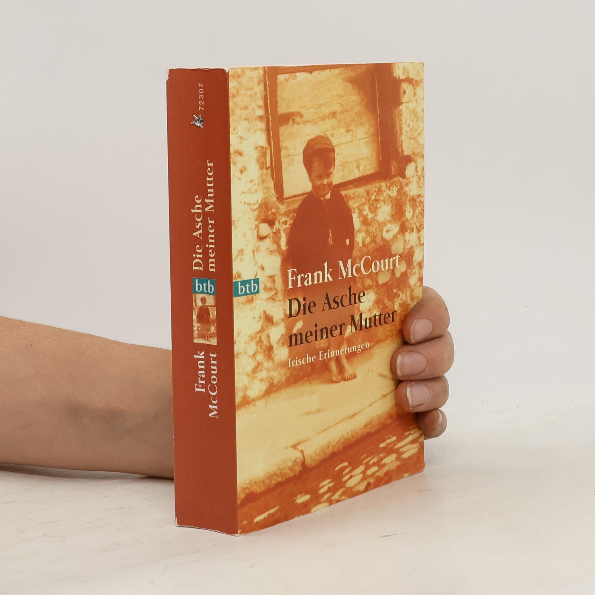 Frank McCourt Die Asche meiner Mutter