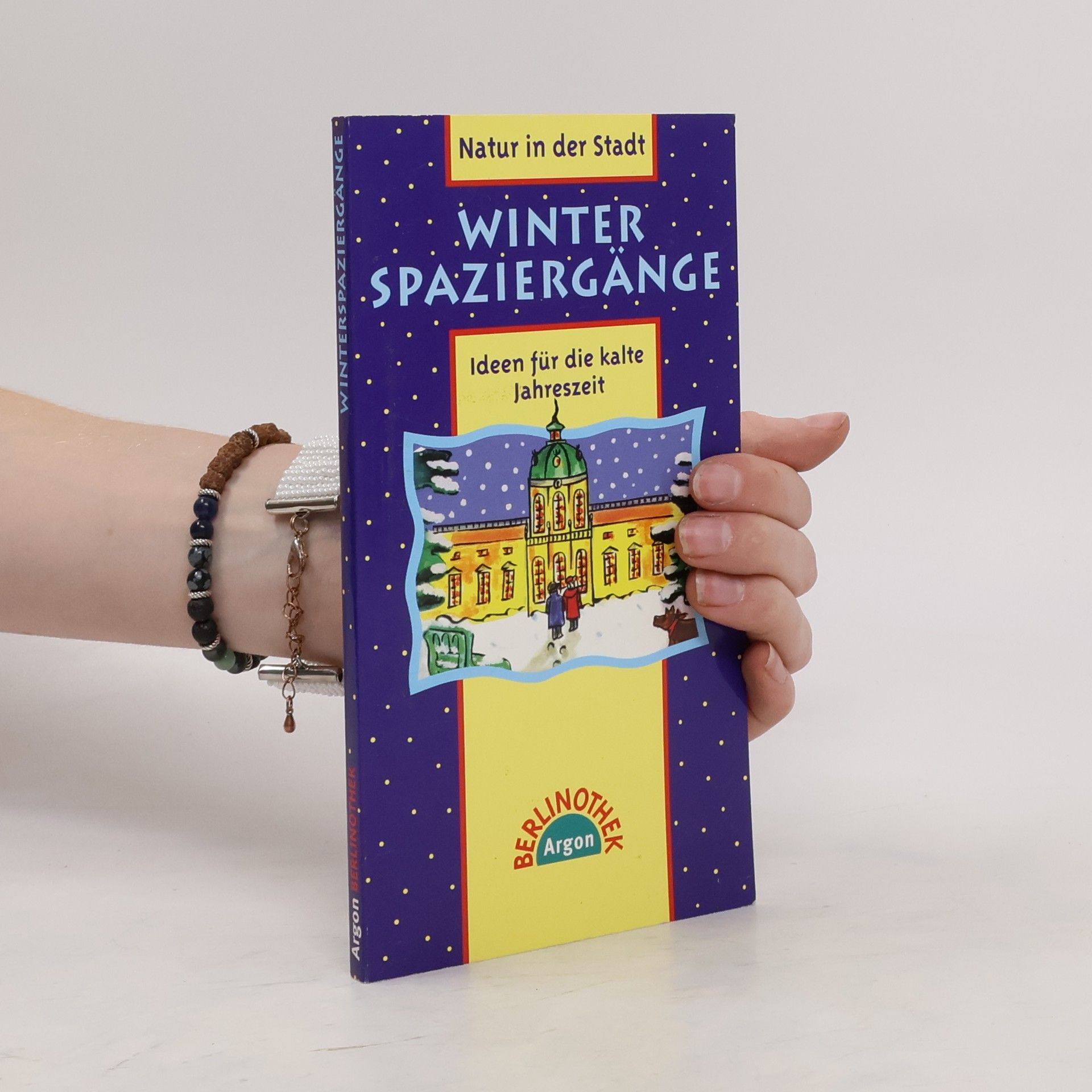Michael Lachmann Winter-Spaziergänge