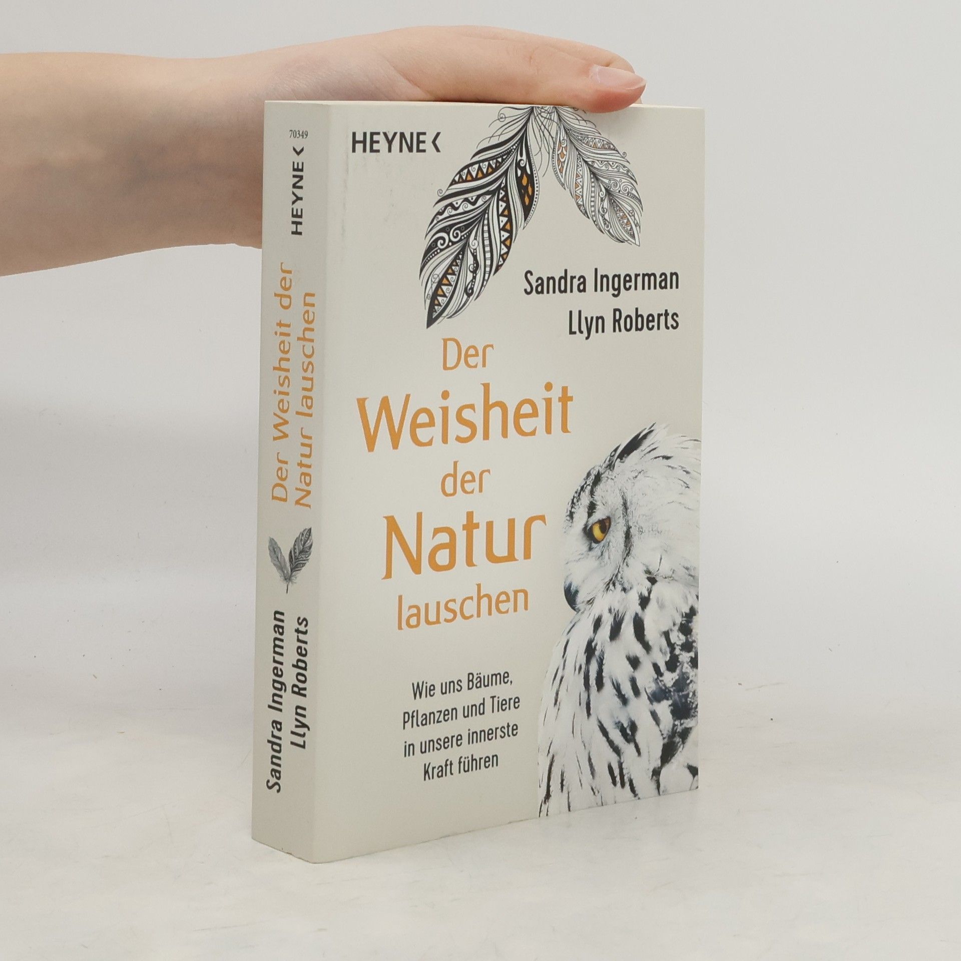 Sandra Ingerman Der Weisheit der Natur lauschen