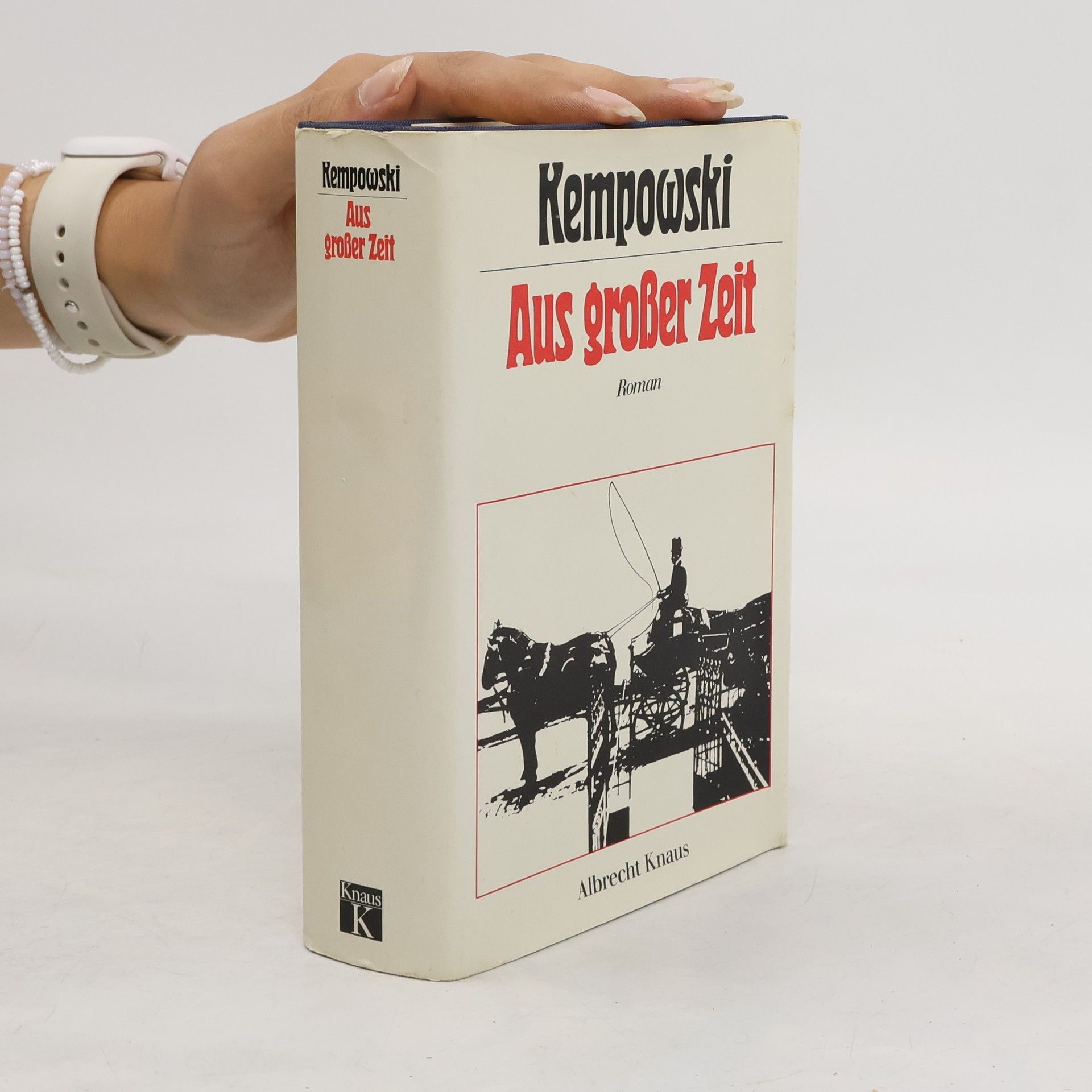 Walter Kempowski Aus grosser Zeit