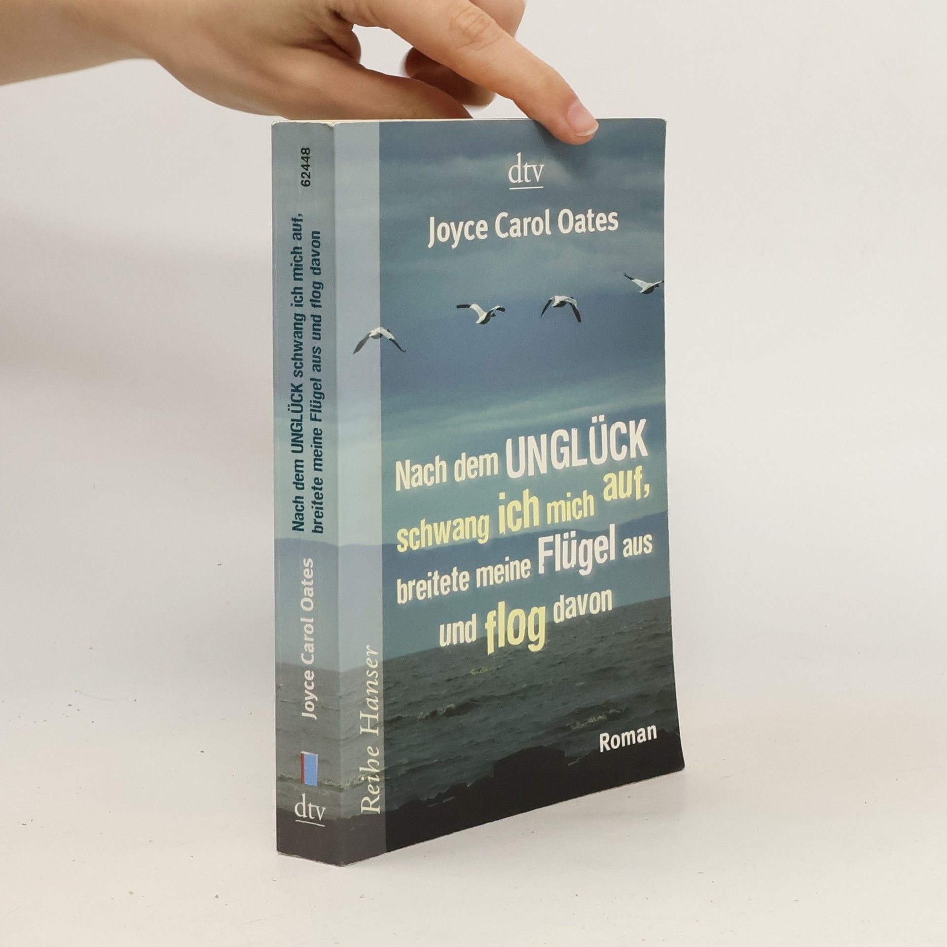 Joyce Carol Oates Nach dem Unglück schwang ich mich auf, breitete meine Flügel aus und flog davon