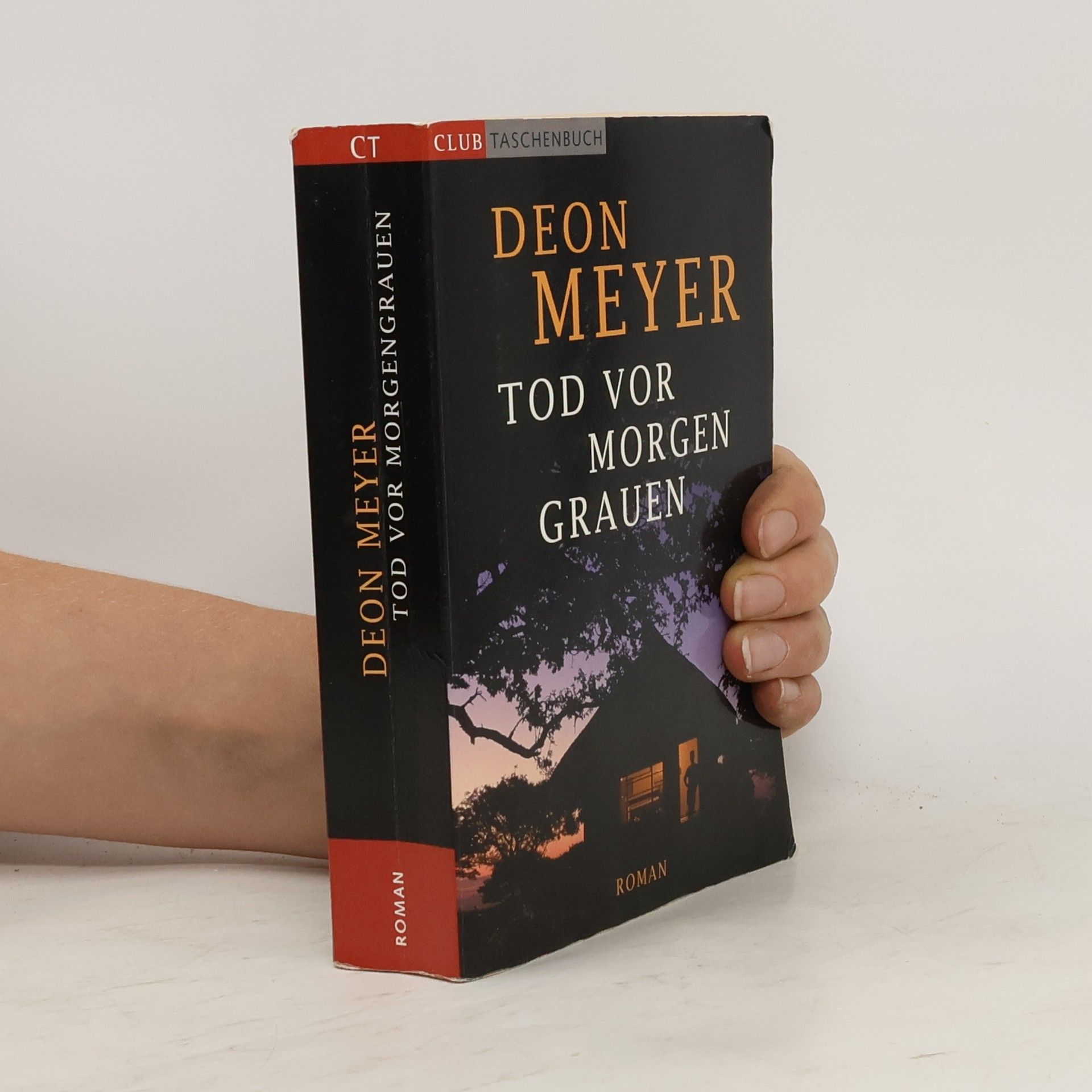 Deon Meyer Tod vor Morgengrauen