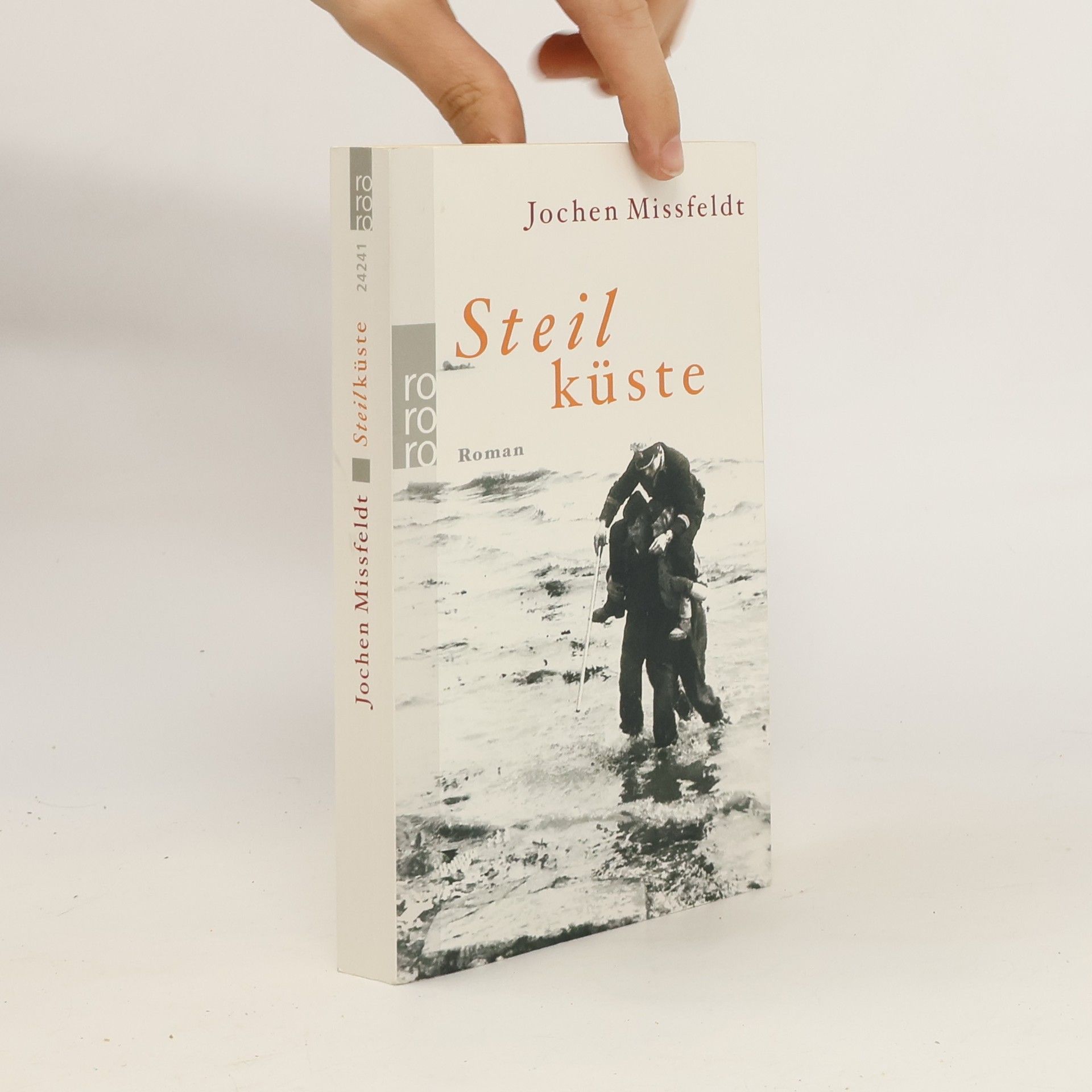 Jochen Missfeldt Steilküste