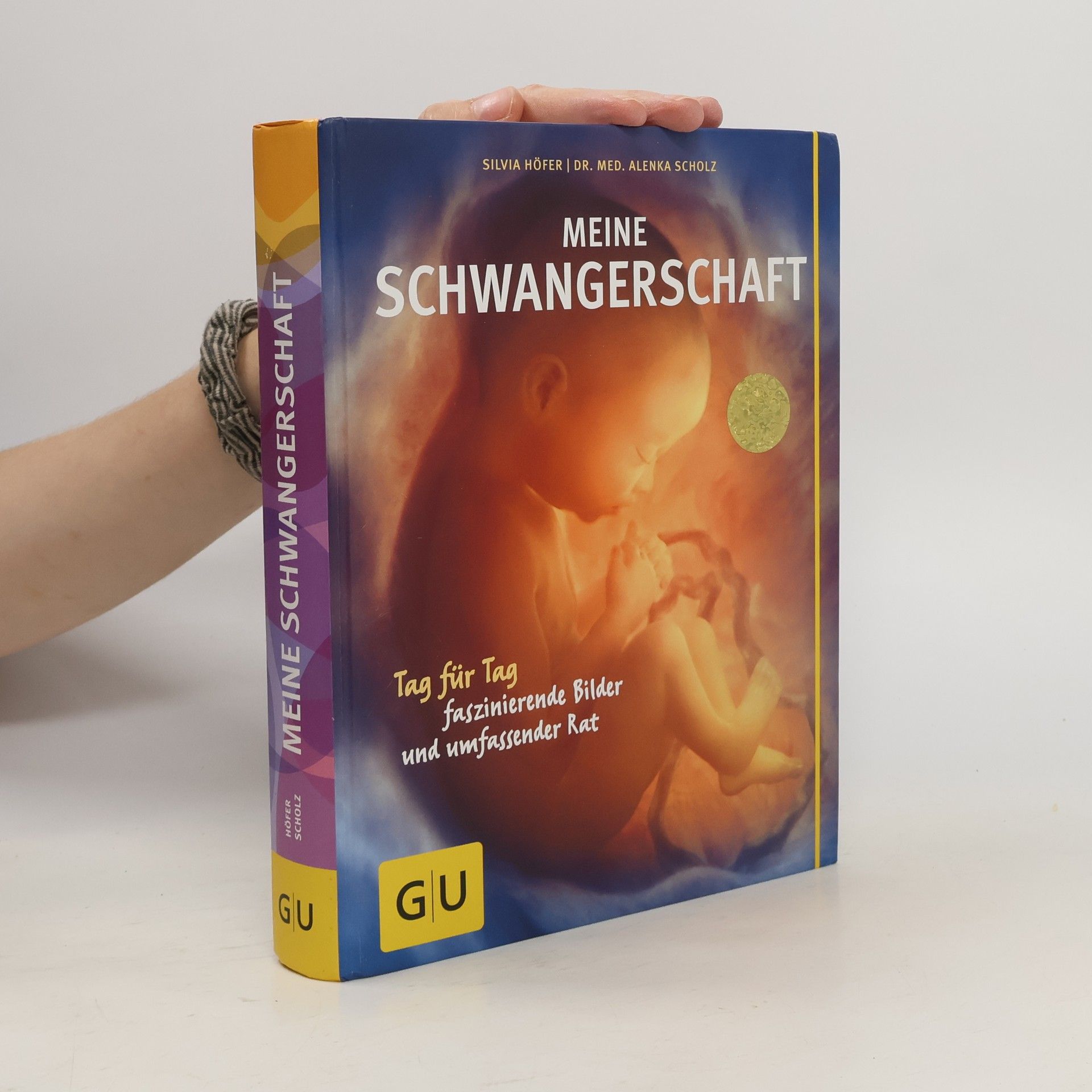 Silvia Höfer Meine Schwangerschaft