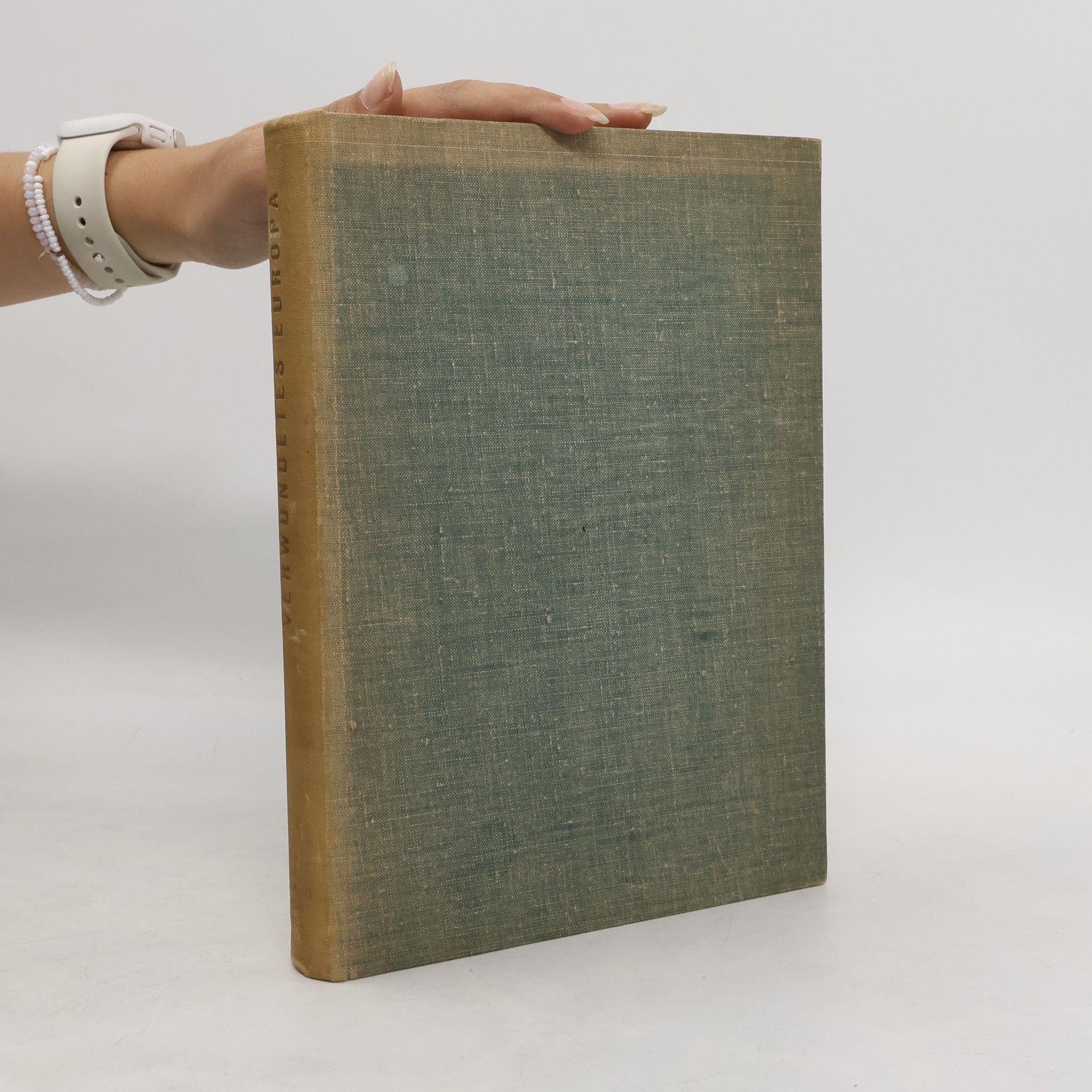 Collectif d'auteurs Verwundetes Europa