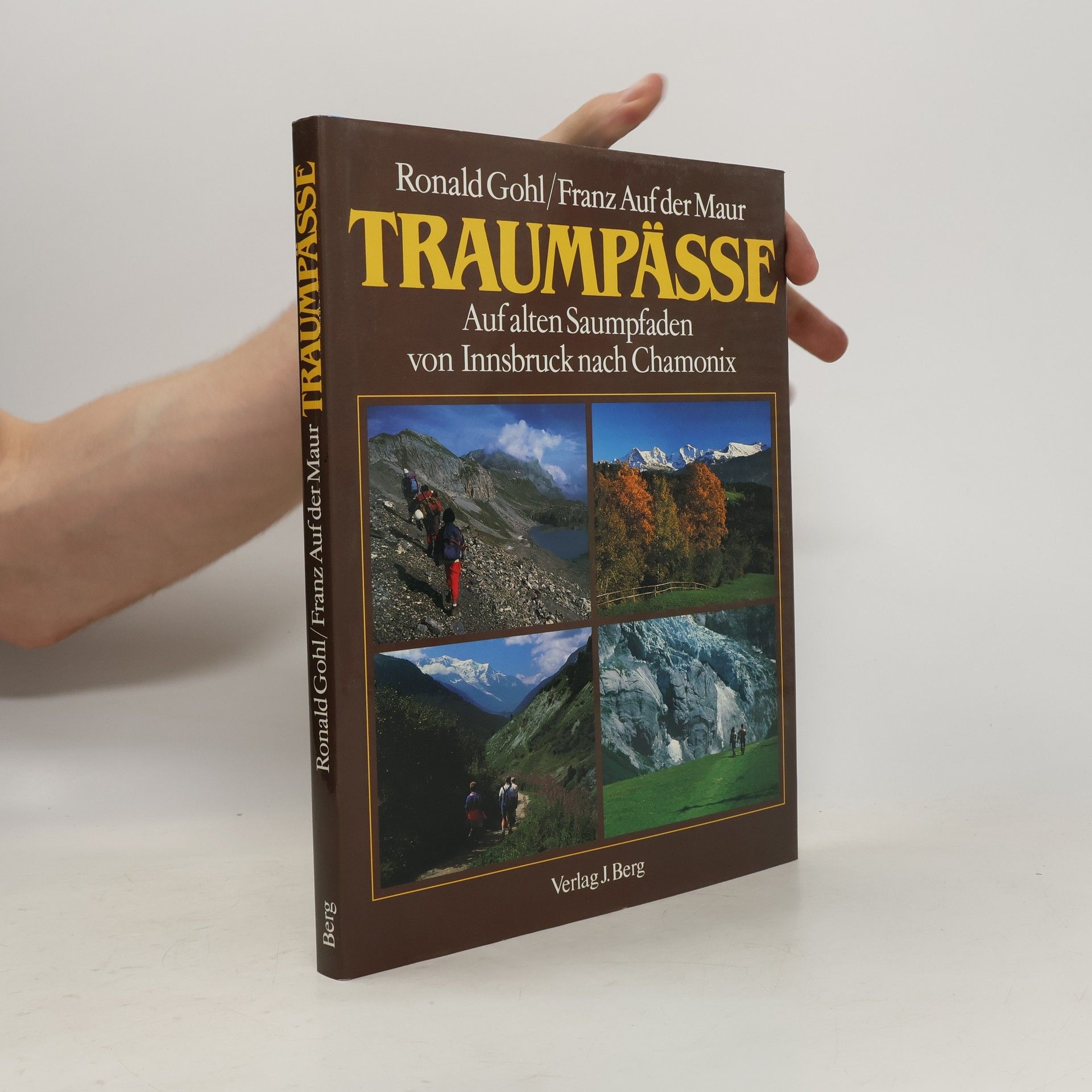 Ronald Gohl Traumpässe