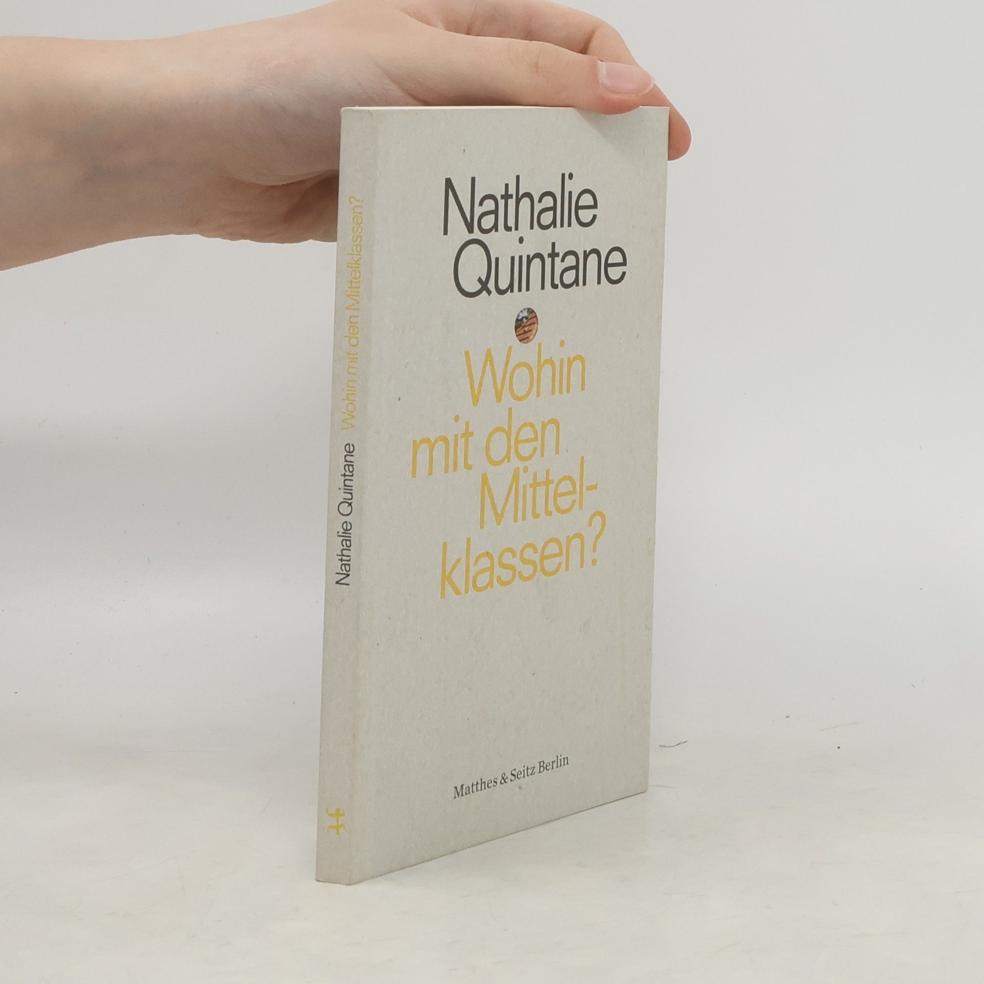 Nathalie Quintane Wohin mit den Mittelklassen?