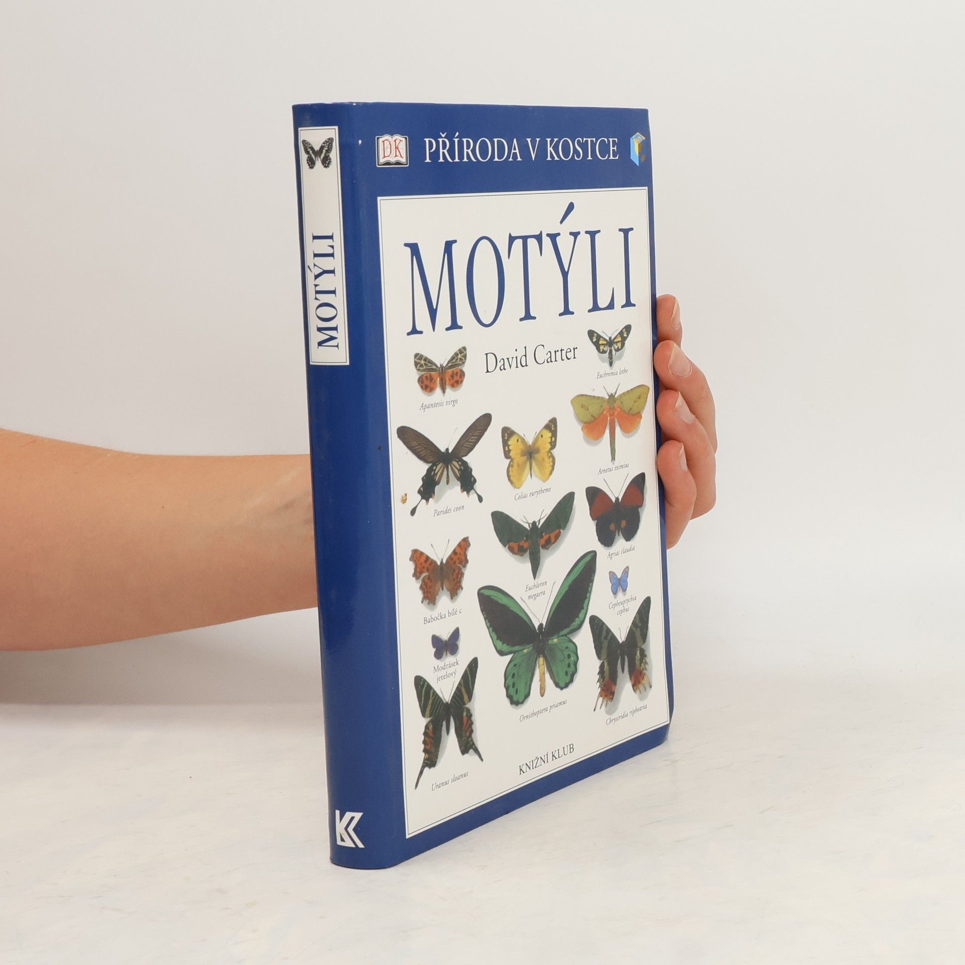 David Carter Motýli