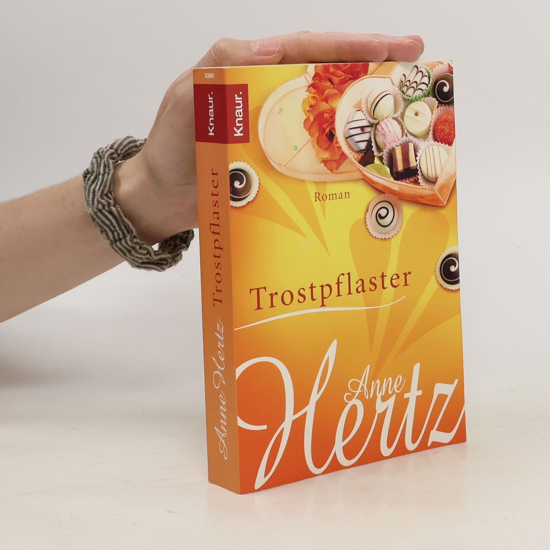 Anne Hertz Trostpflaster