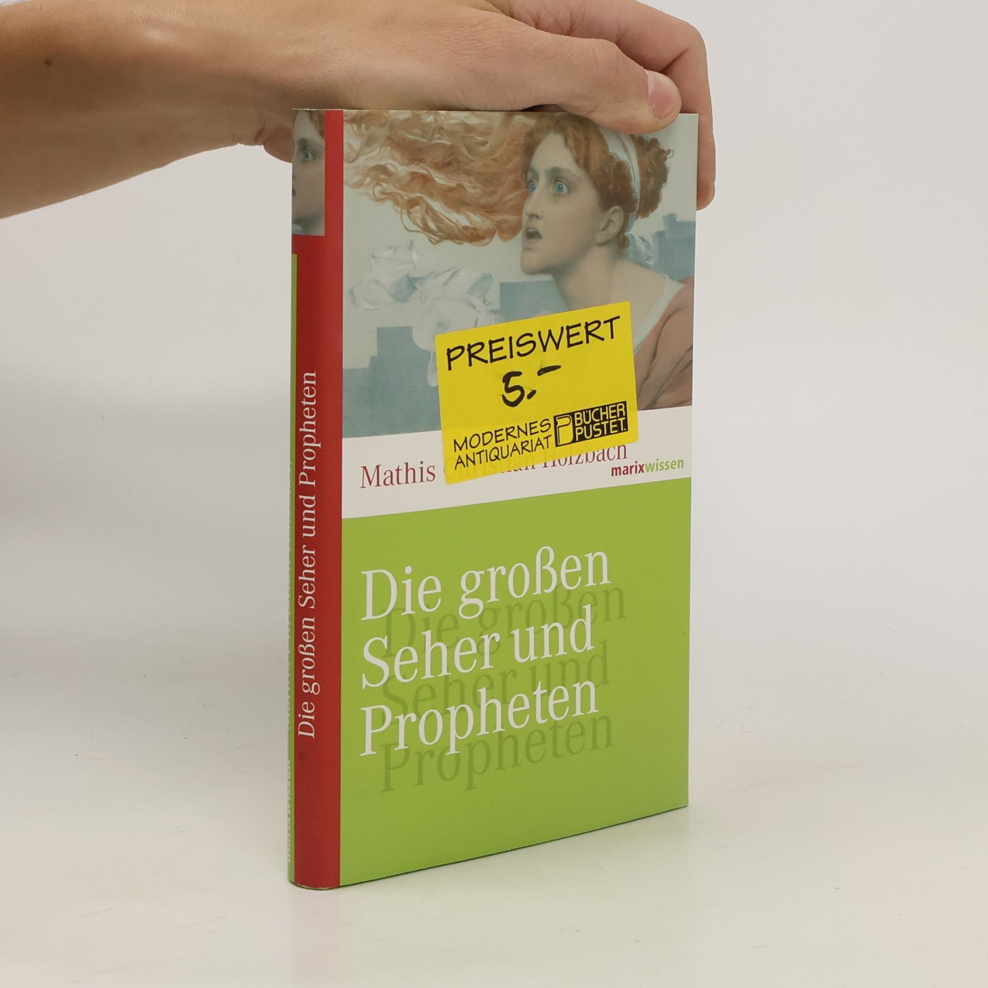 Mathis Christian Holzbach Die großen Seher und Propheten