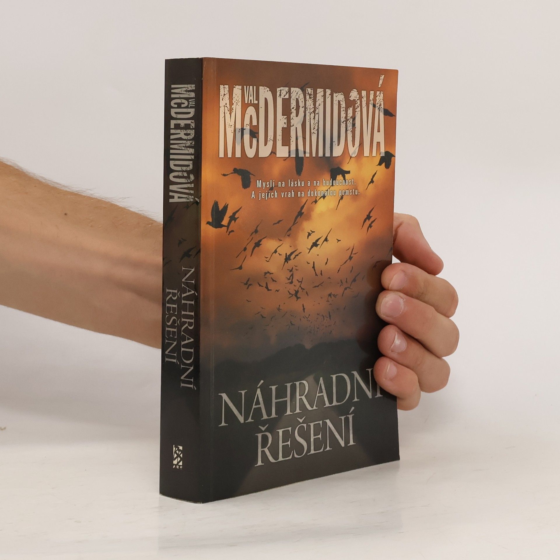 Val McDermid Náhradní řešení