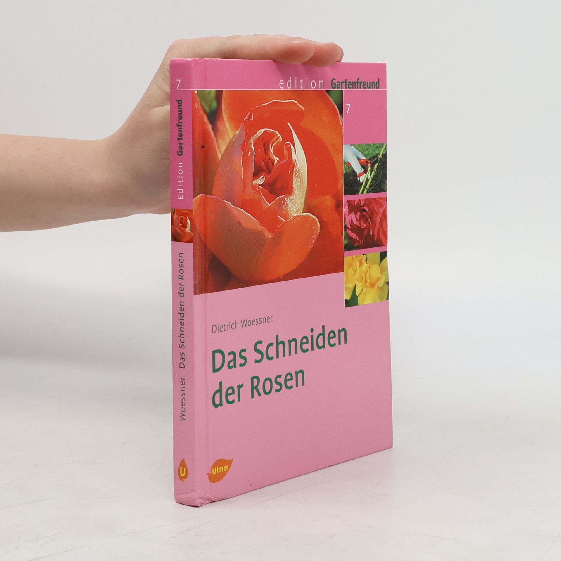 Dietrich Woessner Das Schneiden der Rosen