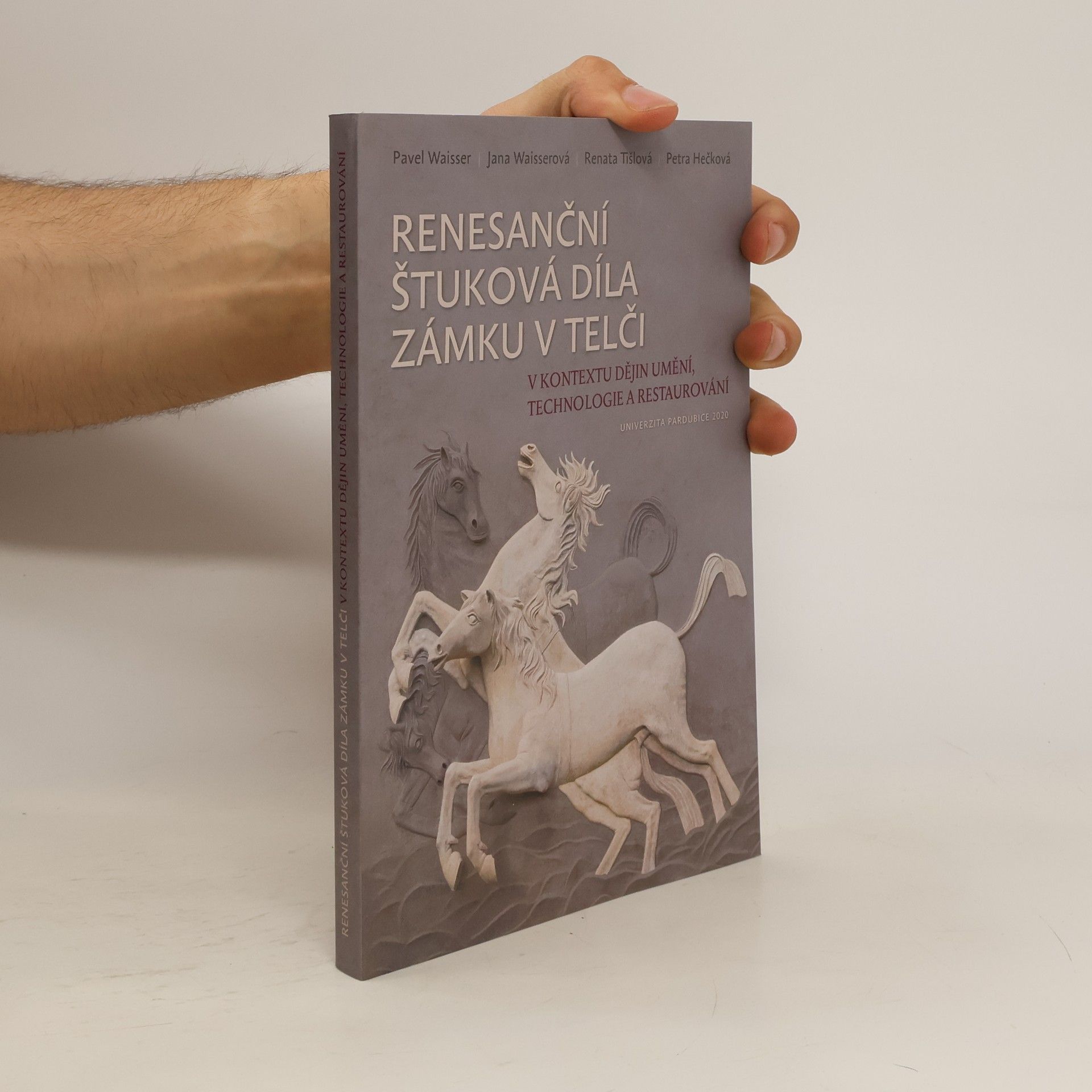 kolektiv Renesanční štuková díla zámku v Telči v kontextu dějin umění, technologie a restaurování