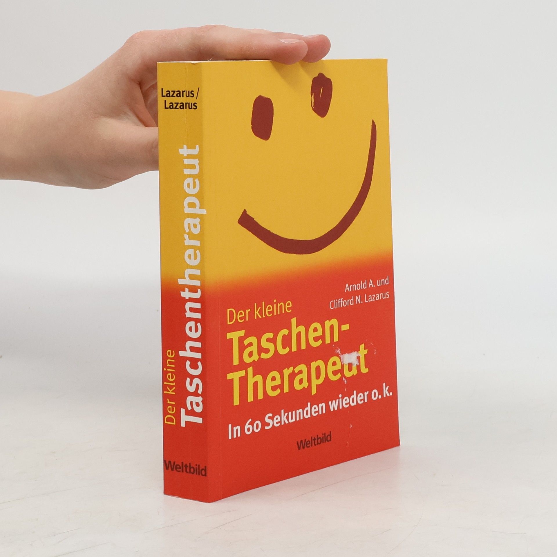 Arnold A. Lazarus Der kleine Taschen-Therapeut