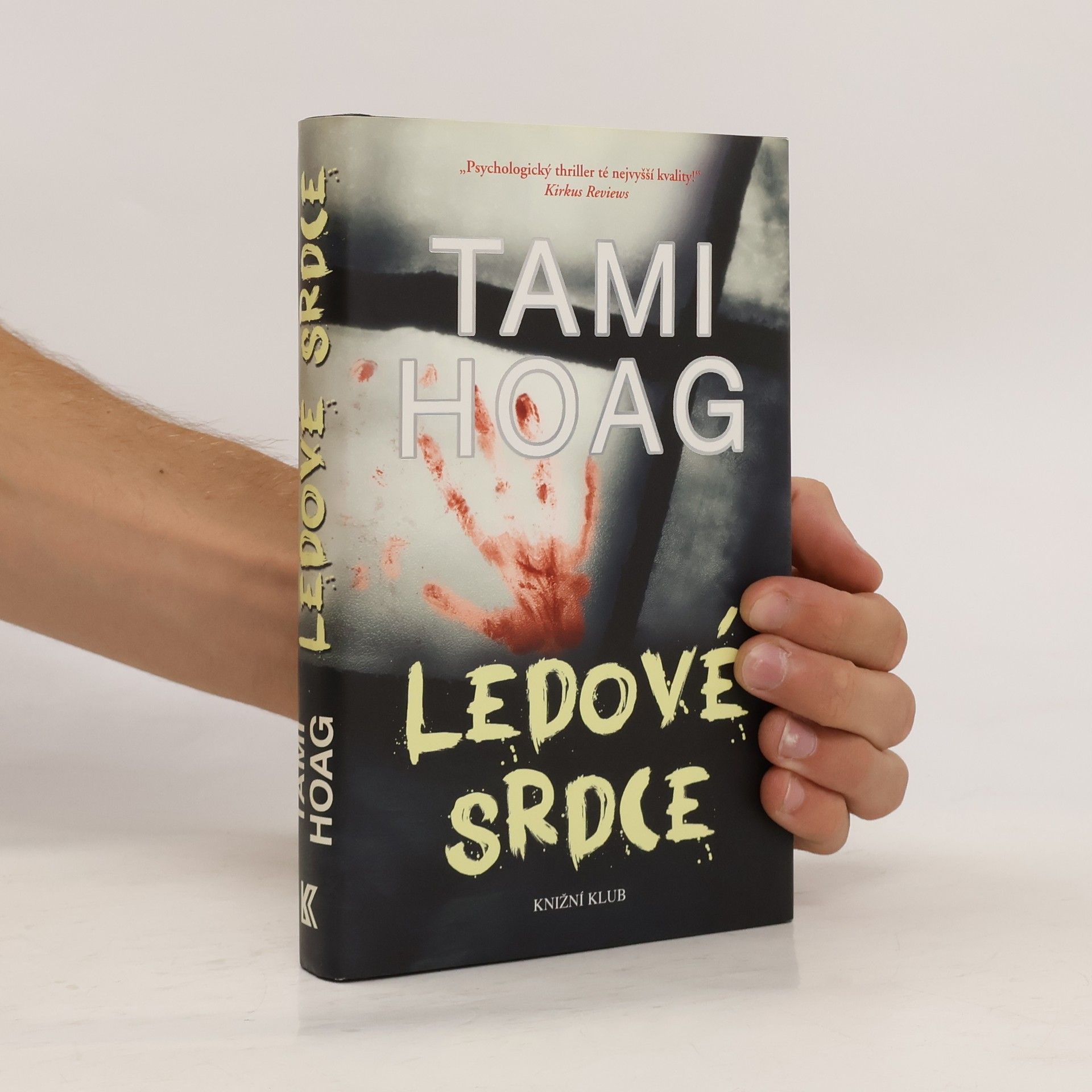 Tami Hoag Ledové srdce