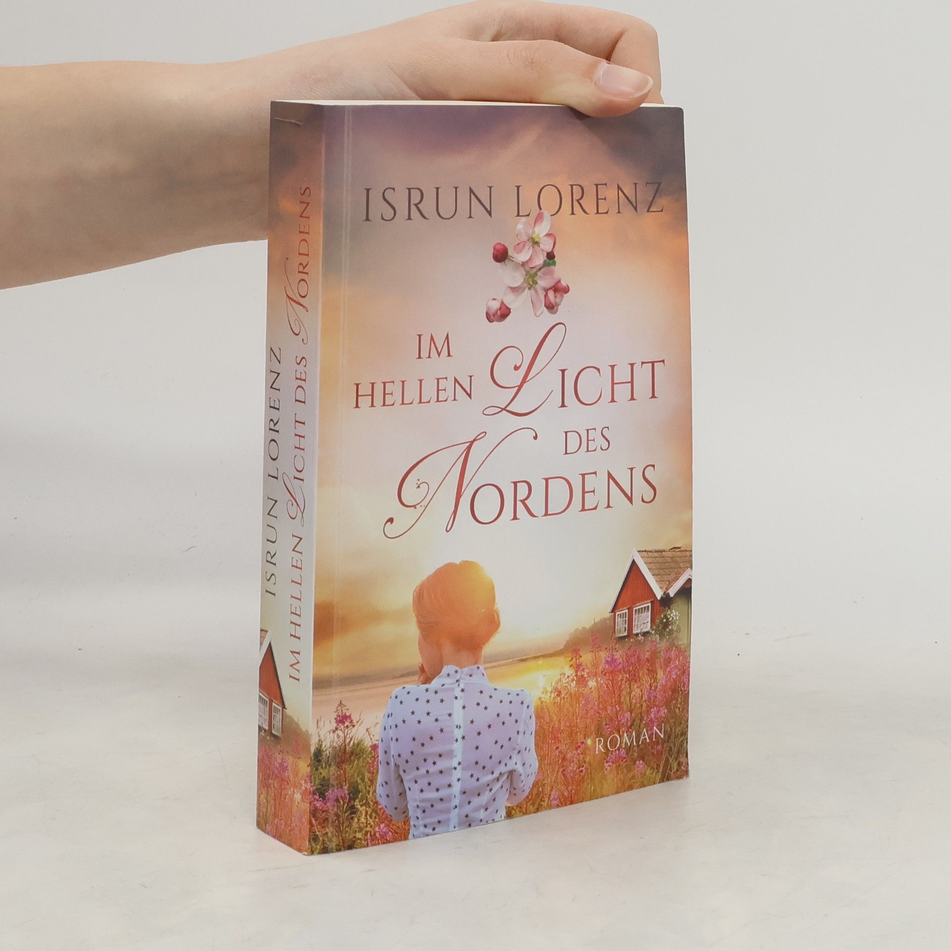 Isrun Lorenz Im helle Licht des Nordens