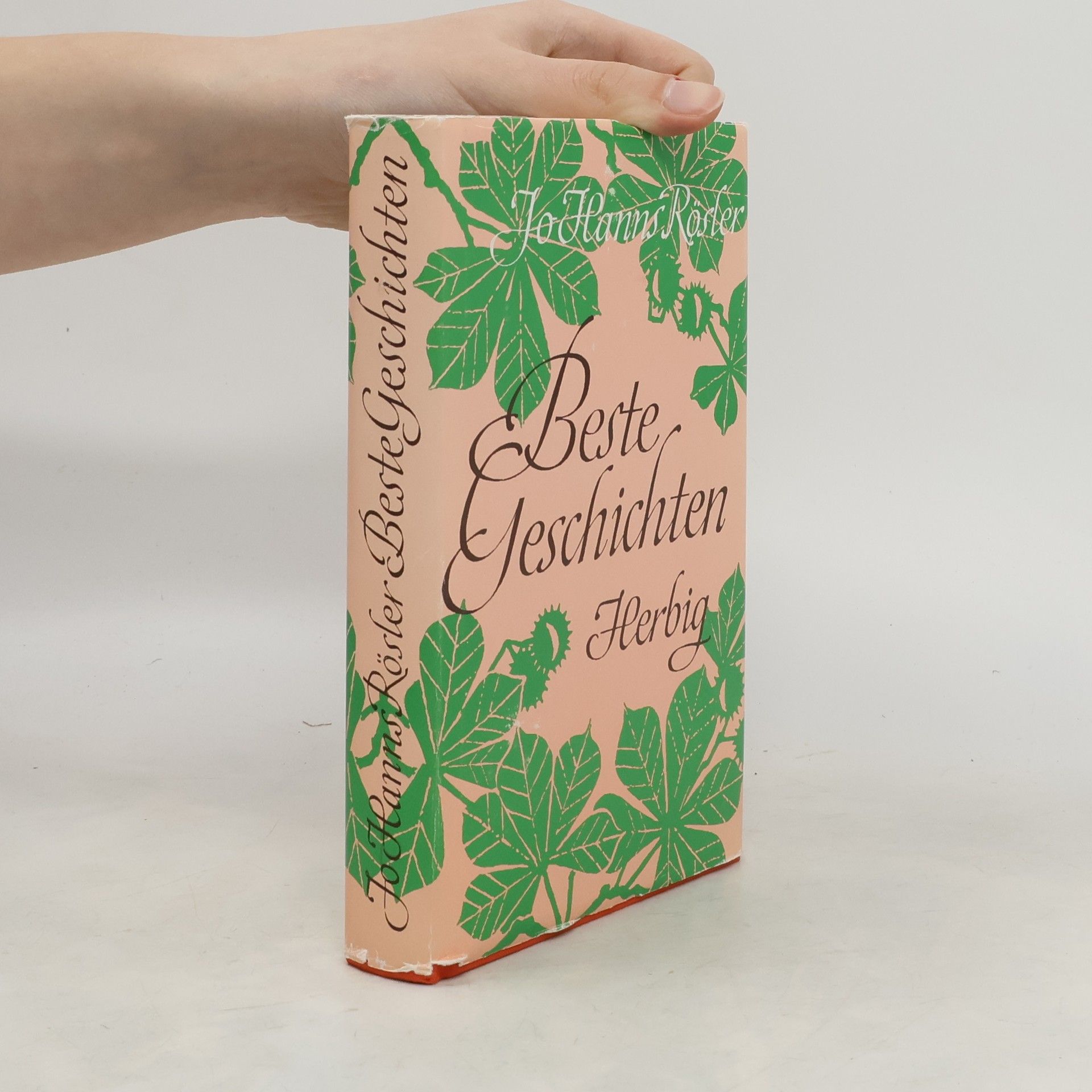 Jo Hanns Rösler Beste Geschichten