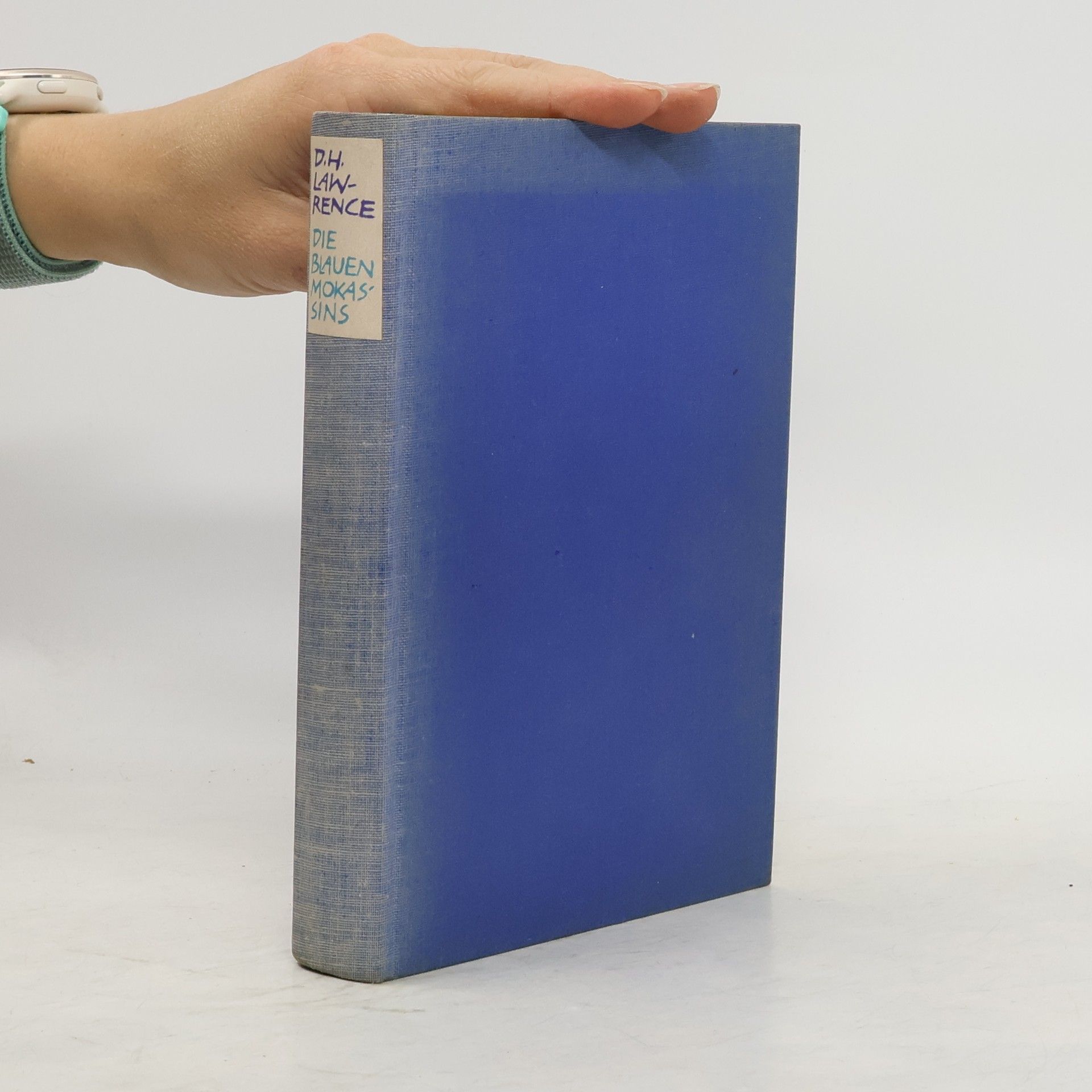 David Herbert Lawrence Die blauen Mokassins