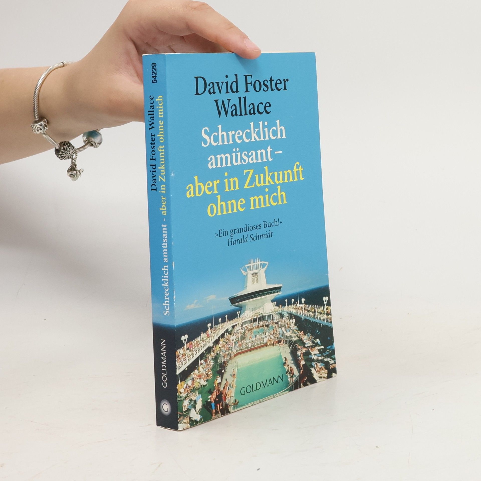 David Foster Wallace Schrecklich amüsant - aber in Zukunft ohne mich