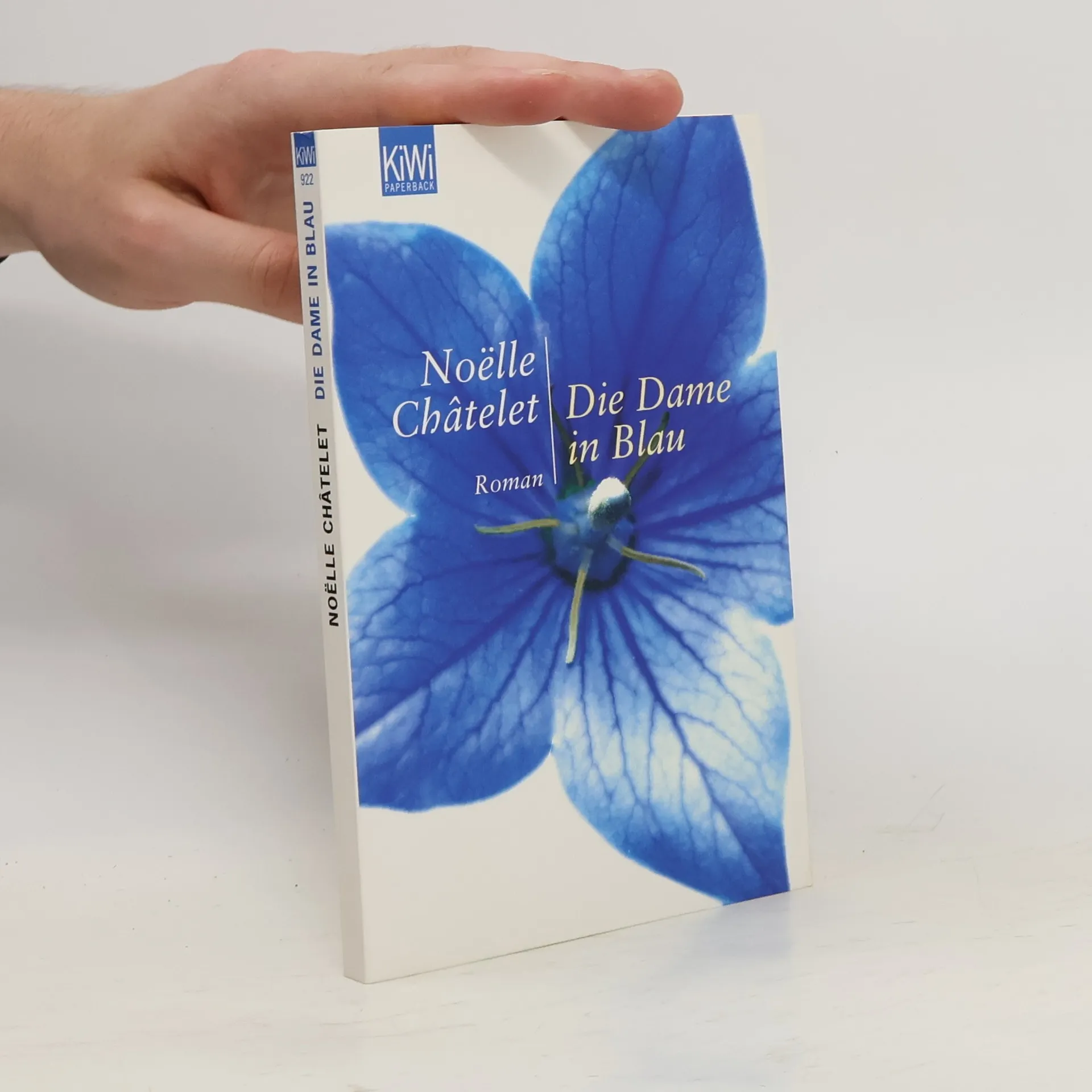 Die Dame in Blau | Book | Noëlle Châtelet | DE