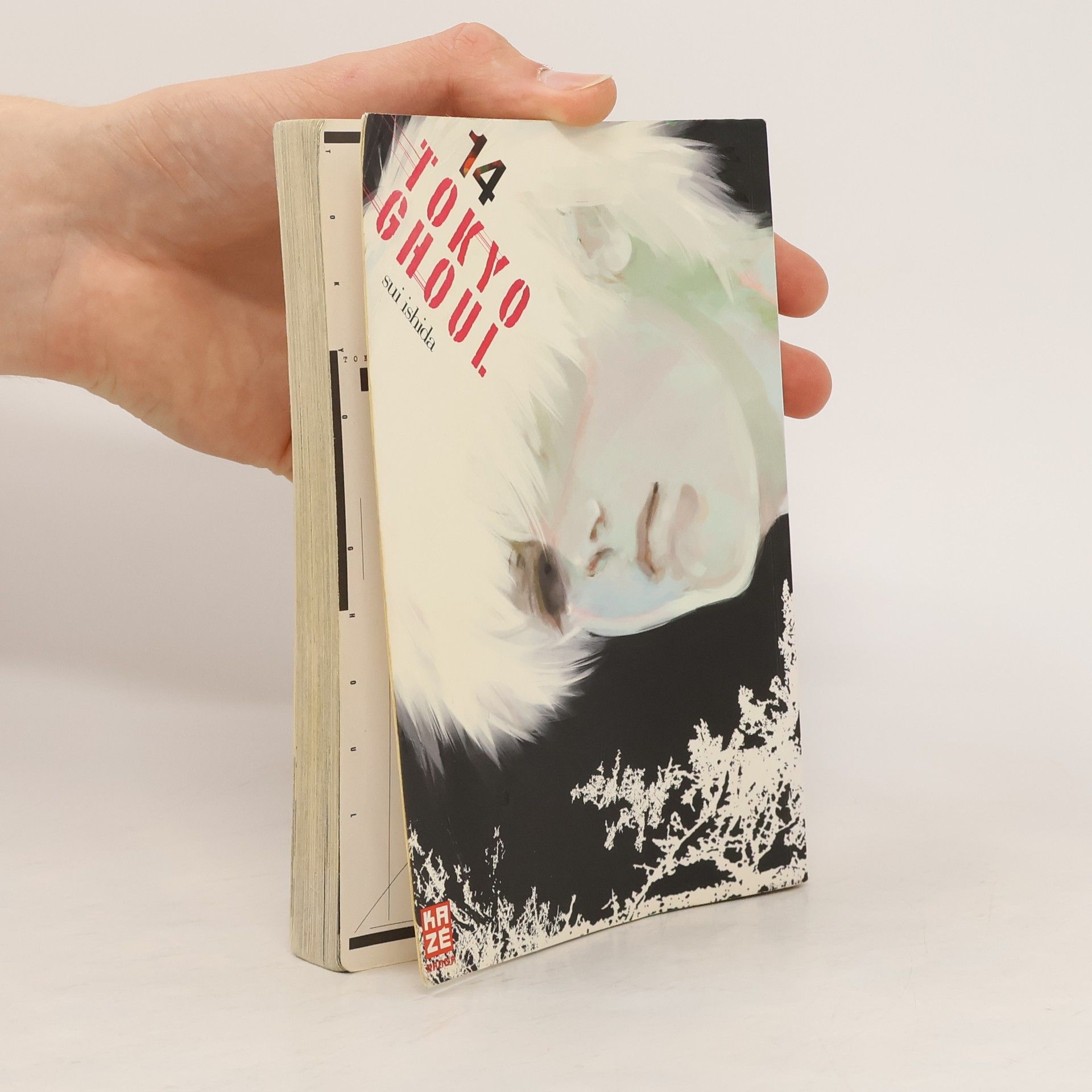 Sui Išida Tokyo Ghoul 14
