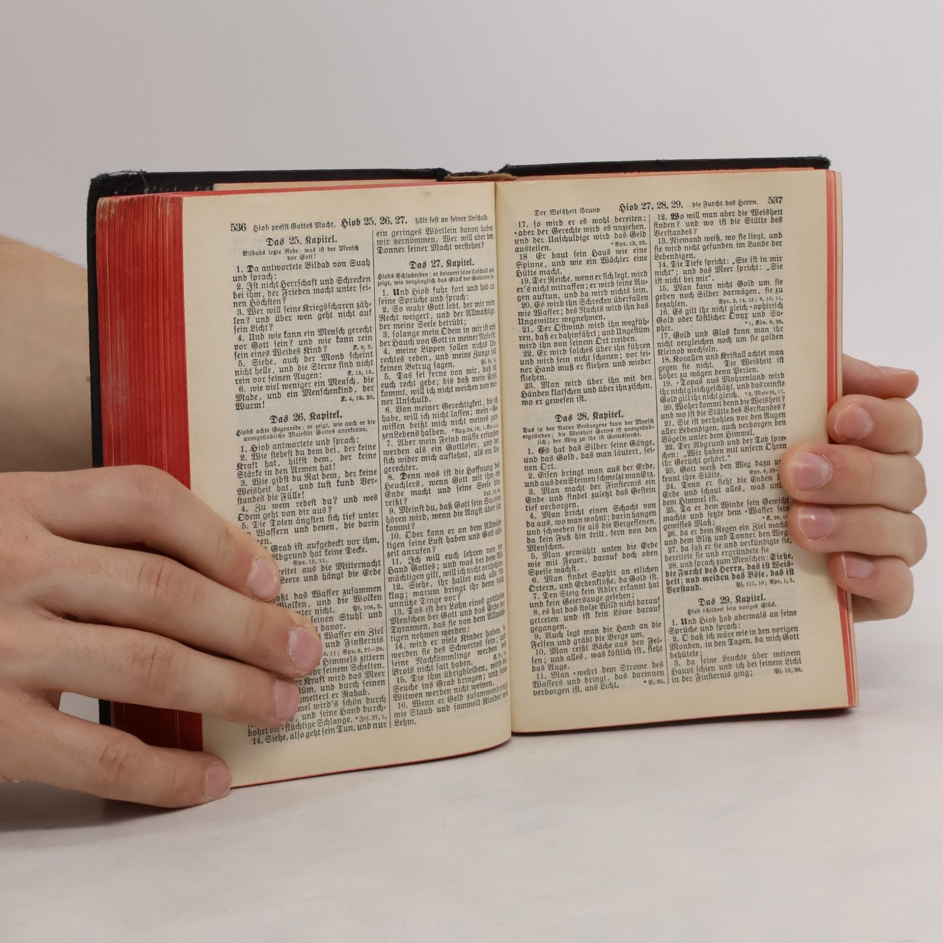 Martin Luther Die Bibel oder die ganze Heilige Schrift des Alten und Neuen Testaments