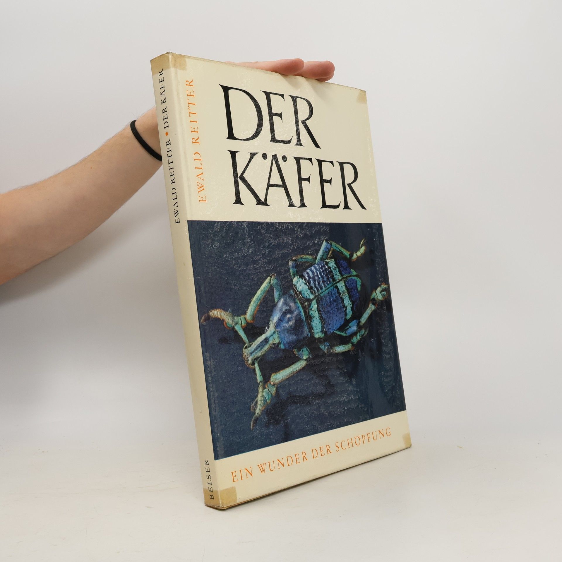 Ewald Reitter Der Käfer