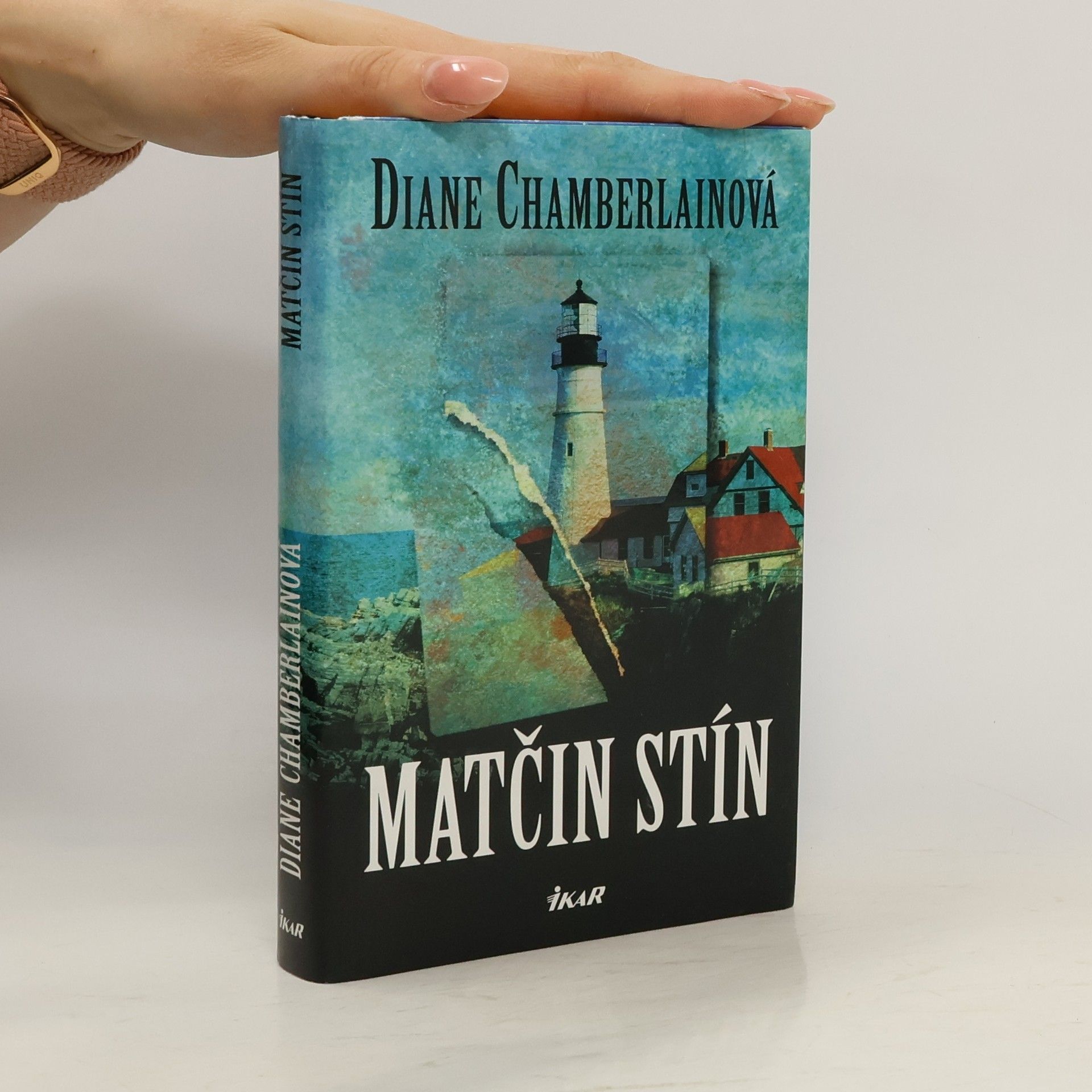 Diane Chamberlain Matčin stín