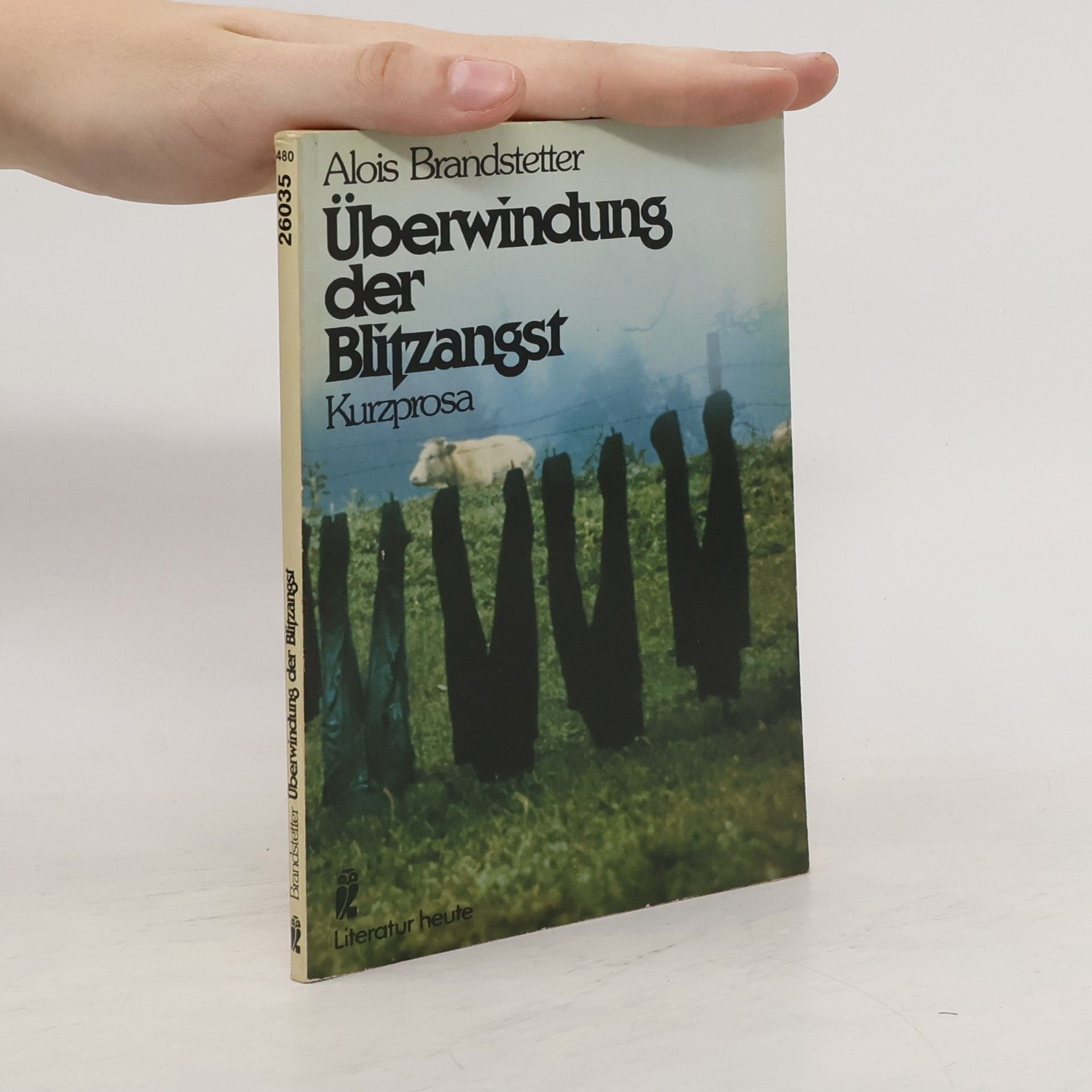 Alois Brandstetter Überwindung der Blitzangst